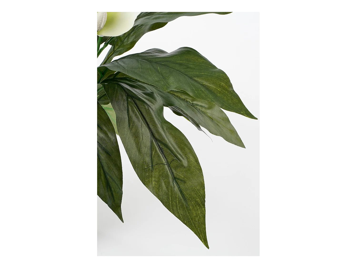 Kunstpflanze aus Polyester und Terrakotta - 50 x Ø40 - Weiß - SPATHIPHYLLUM