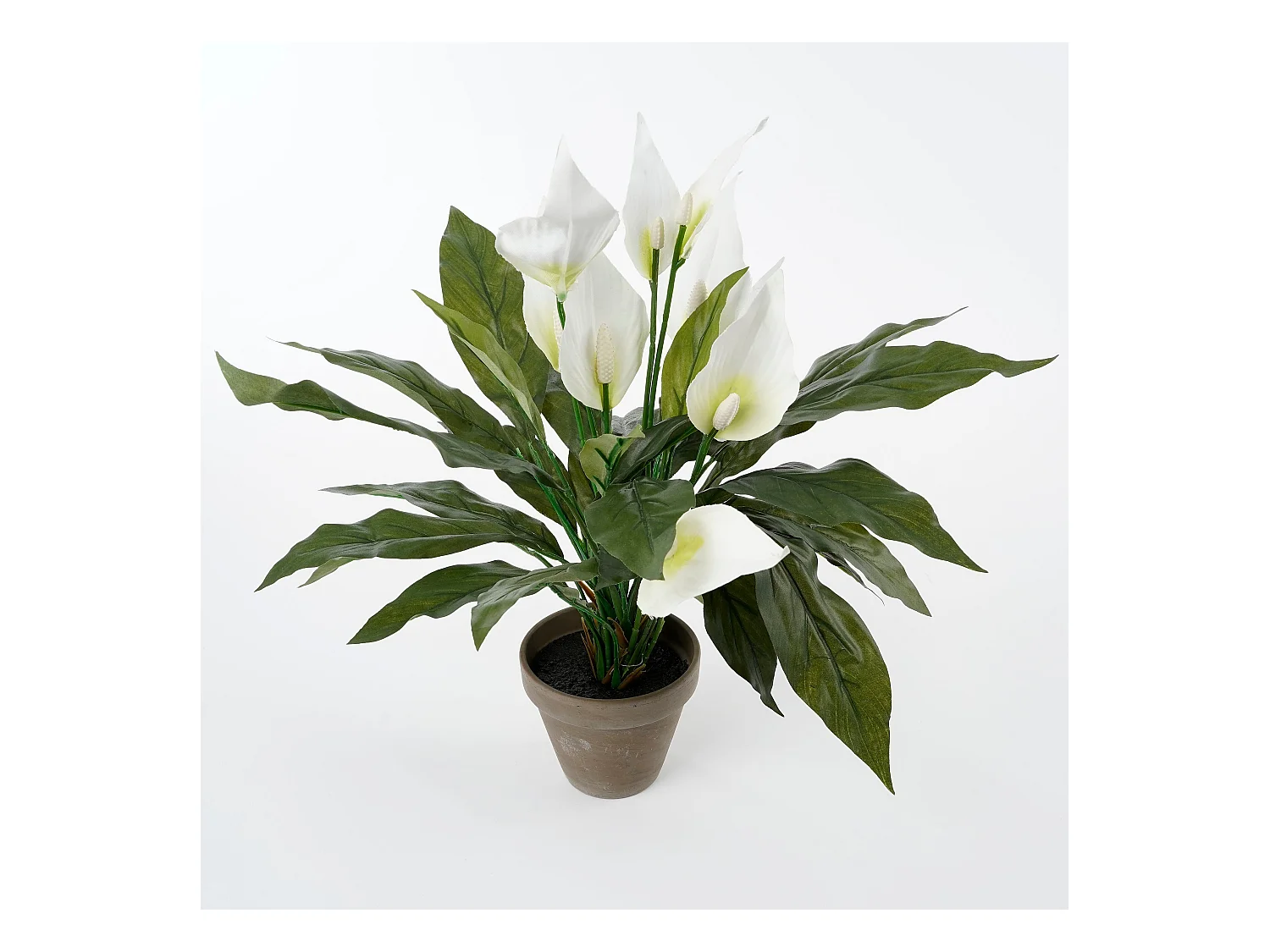 Kunstpflanze aus Polyester und Terrakotta - 50 x Ø40 - Weiß - SPATHIPHYLLUM