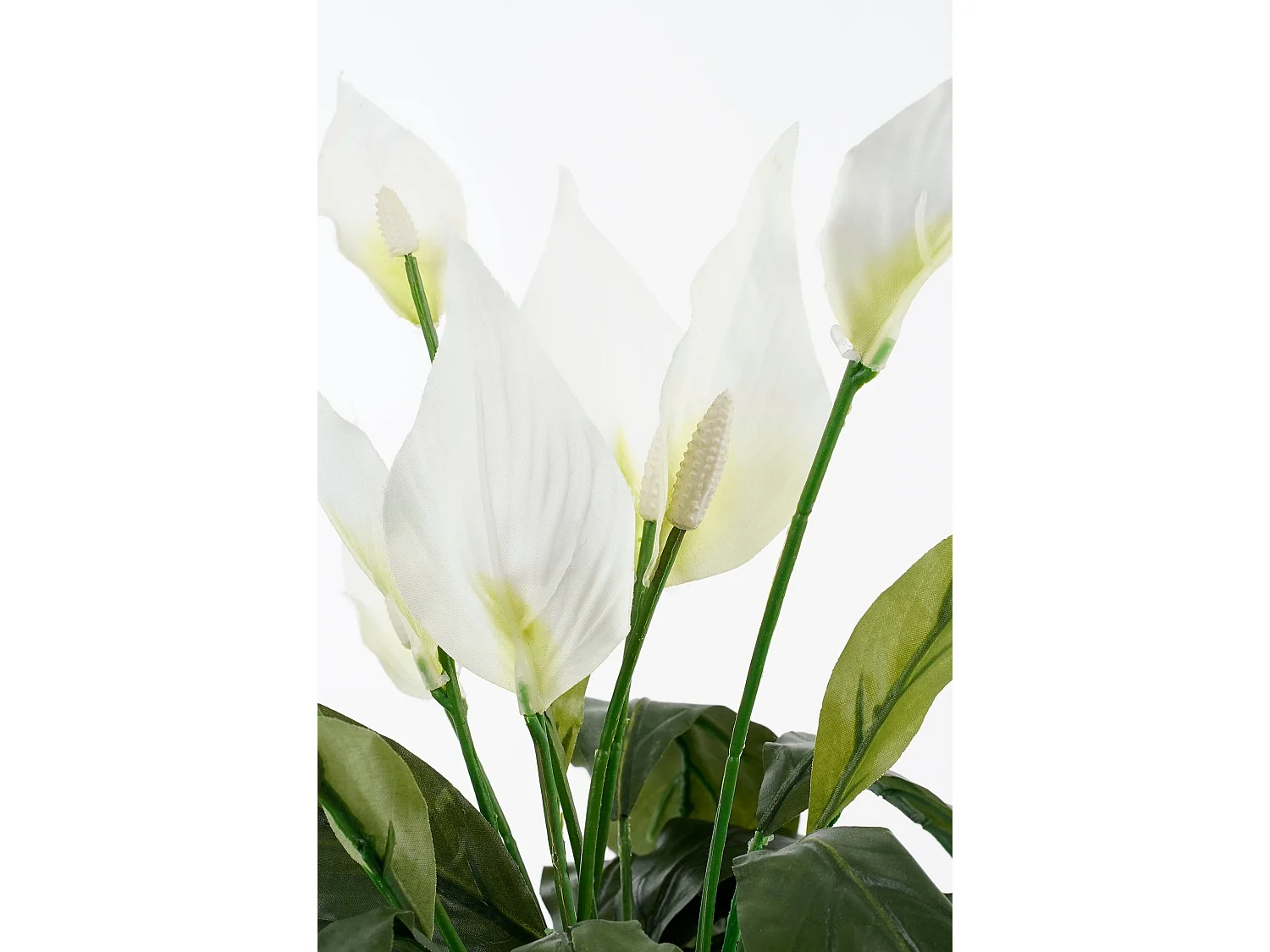 Plante artificielle en polyester et terre cuite - 50 x Ø40 - Blanc - SPATHIPHYLLUM