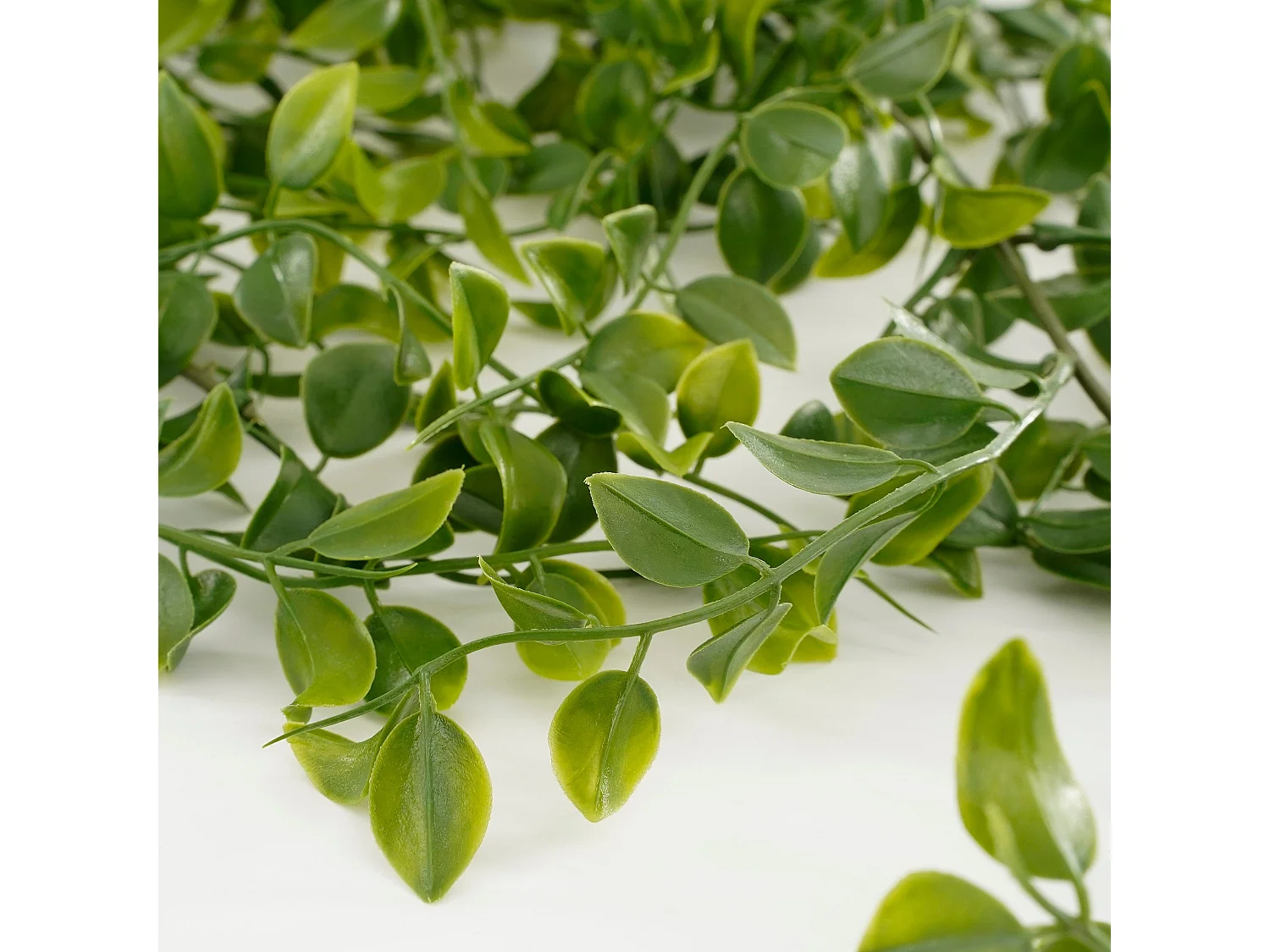 Pianta artificiale sospesa in  - 24 x 10 x 81 - Verde - FICUS