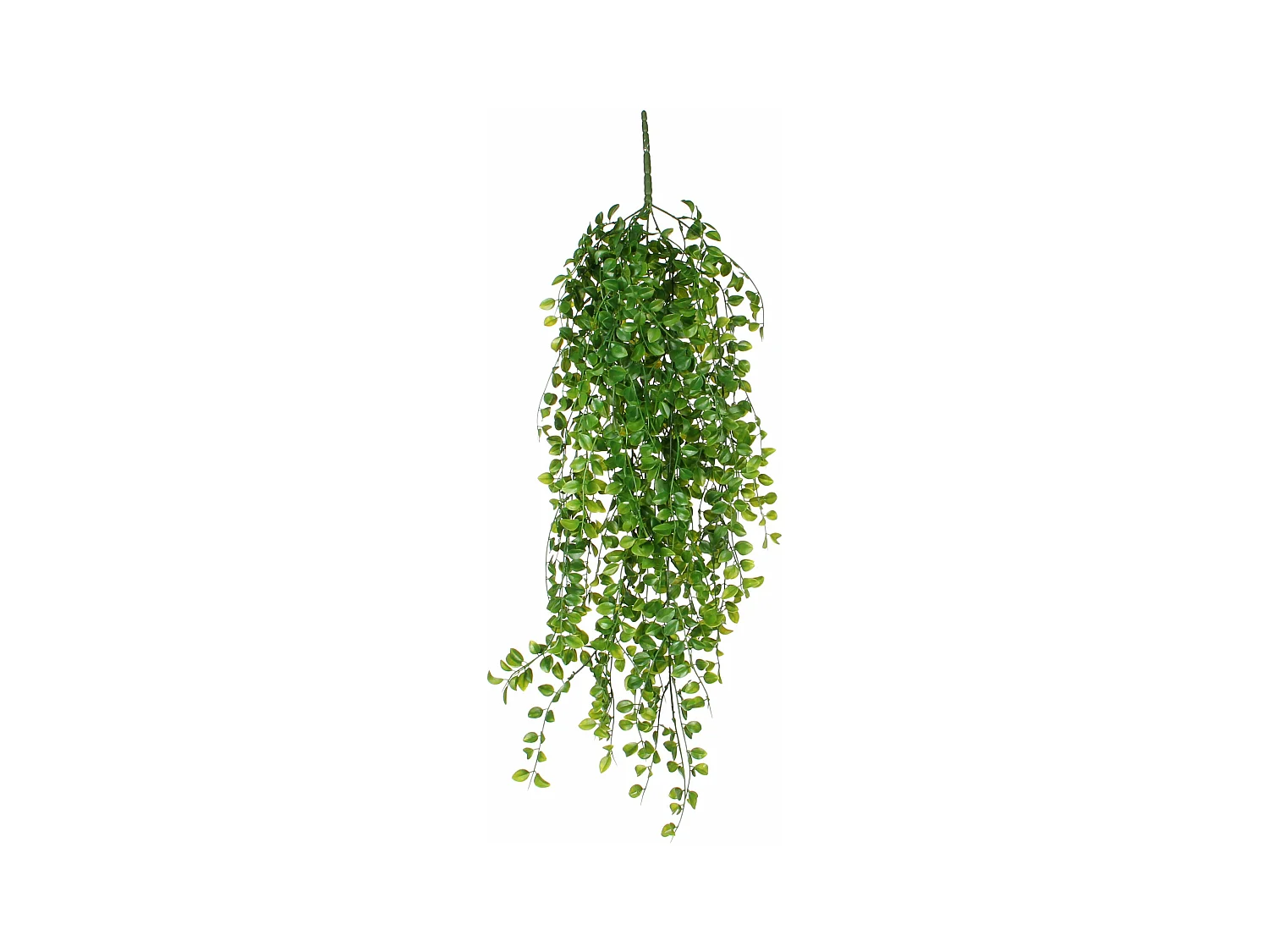 Plante artificielle suspendue en polypropylène - 24 x 10 x 81 - Vert - FICUS