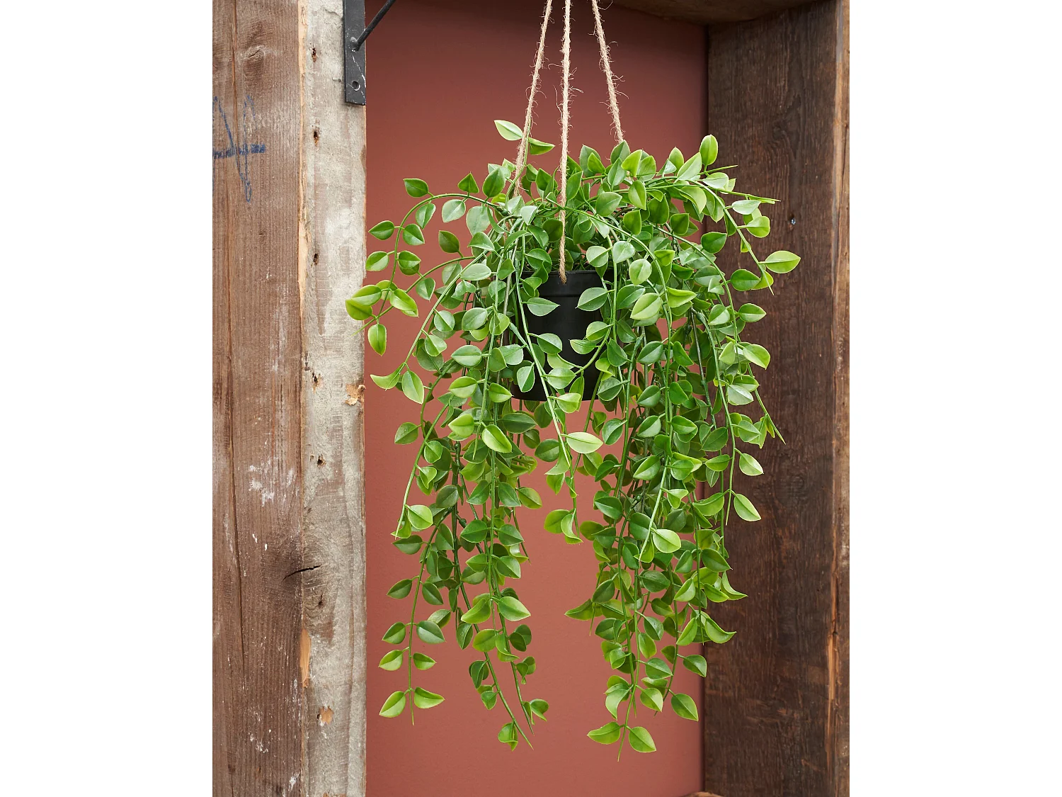 Hangende Kunstpflanze aus Polypropylen - 24 x 10 x 81 - Grün - FICUS