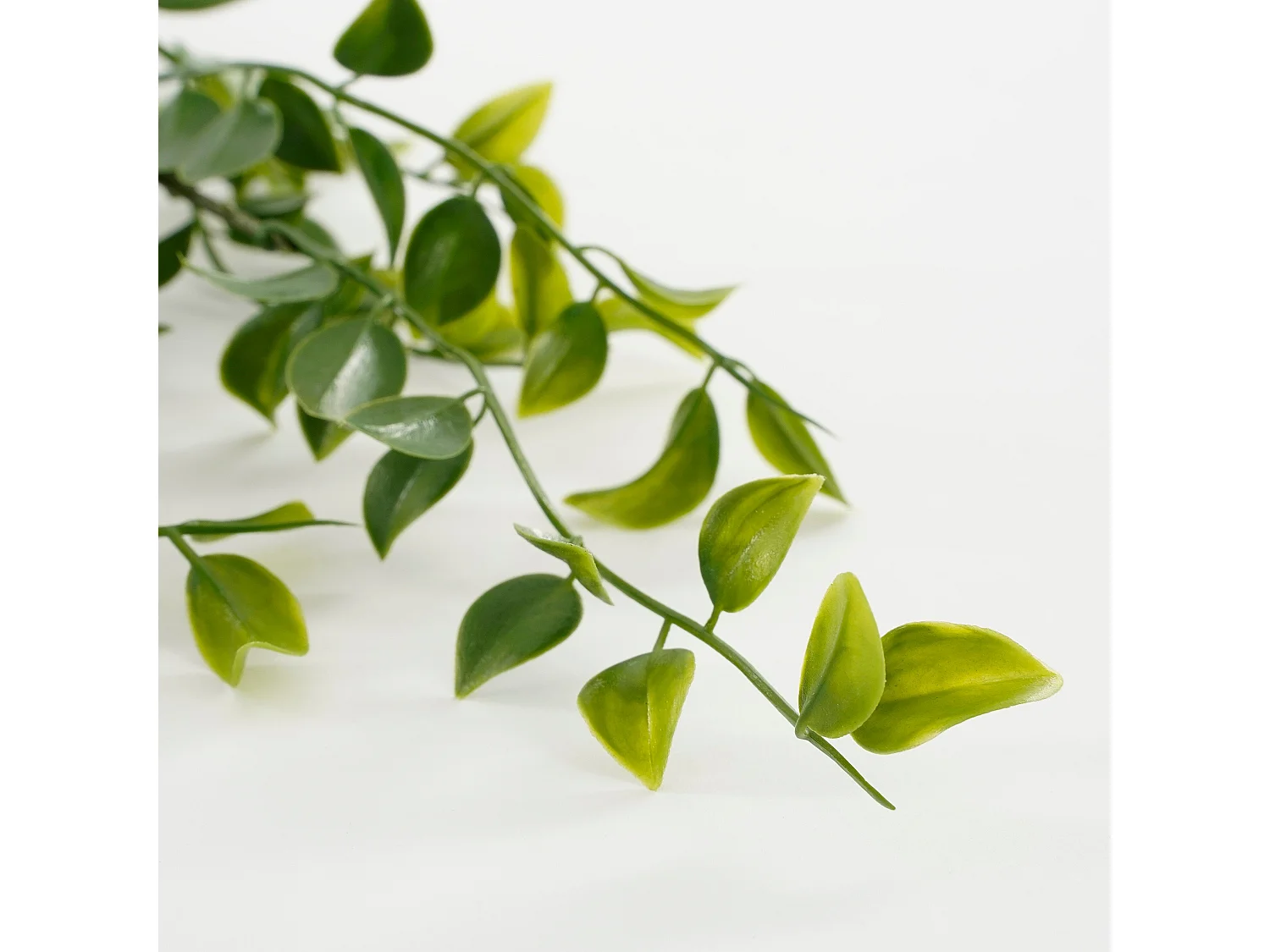 Hangende Kunstpflanze aus Polypropylen - 24 x 10 x 81 - Grün - FICUS