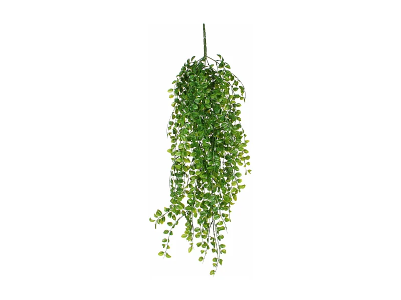 Plante artificielle suspendue en polypropylène - 24 x 10 x 81 - Vert - FICUS