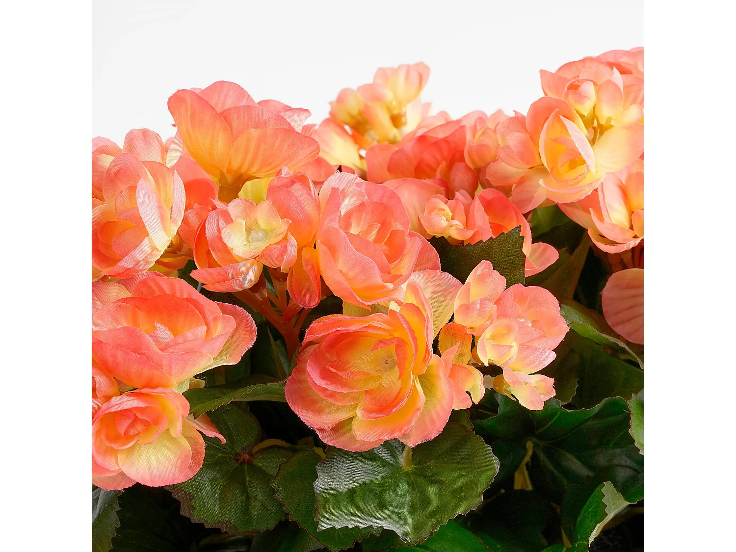 Plante artificielle en polyester - 29 x 13 x 25 - Rose saumon - BEGONIA