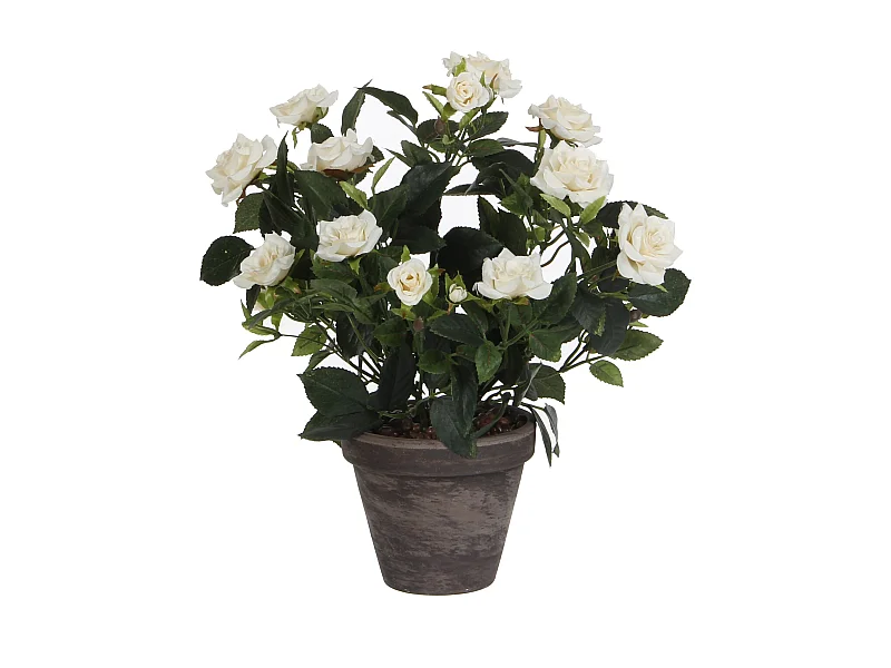 Pianta artificiale in  - Ø25 x 33 - Bianco - ROSEBUSH