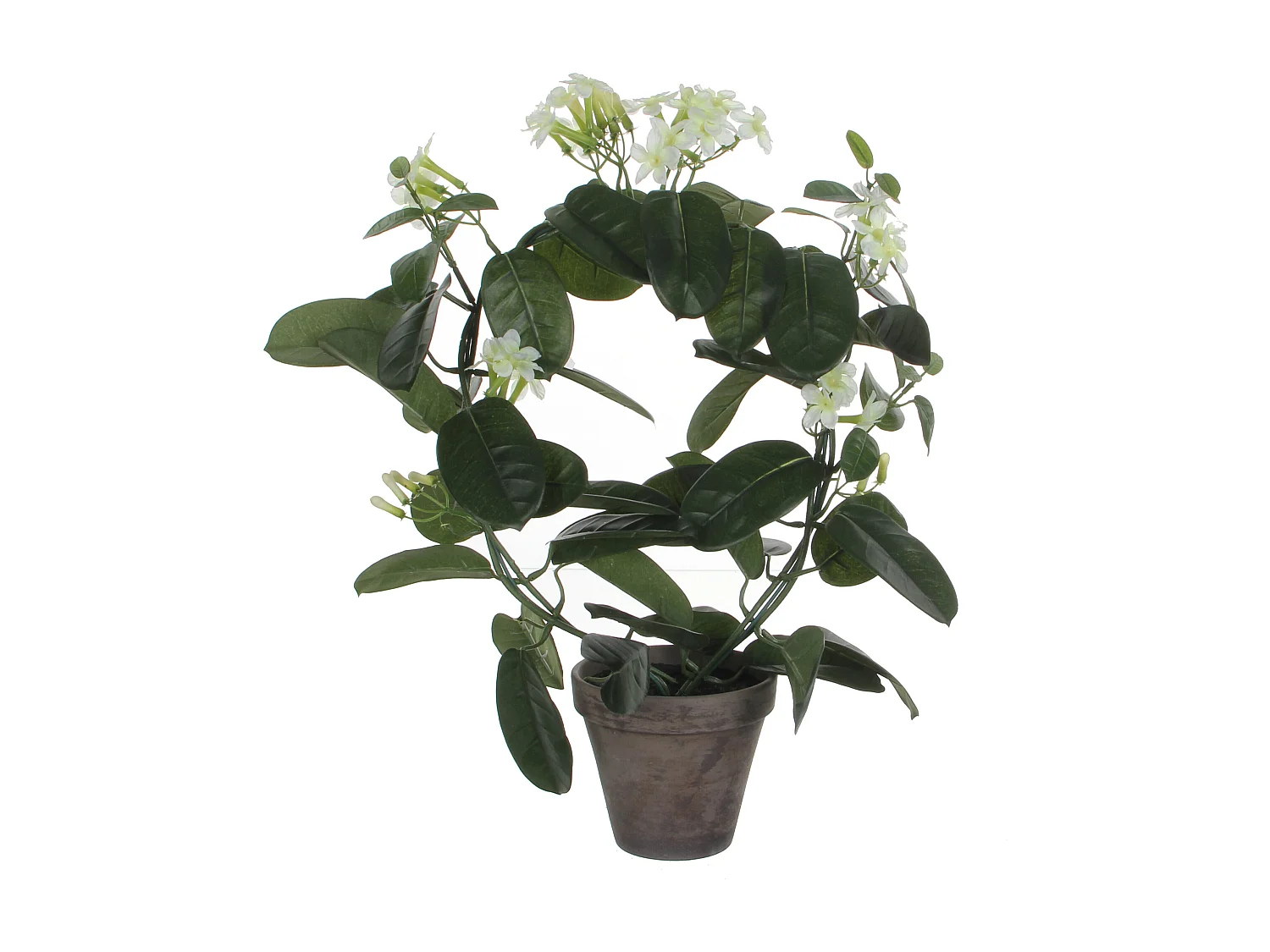 Plante artificielle en polyester et terre cuite - 50 x Ø40 - Blanc - STEPHANOTIS