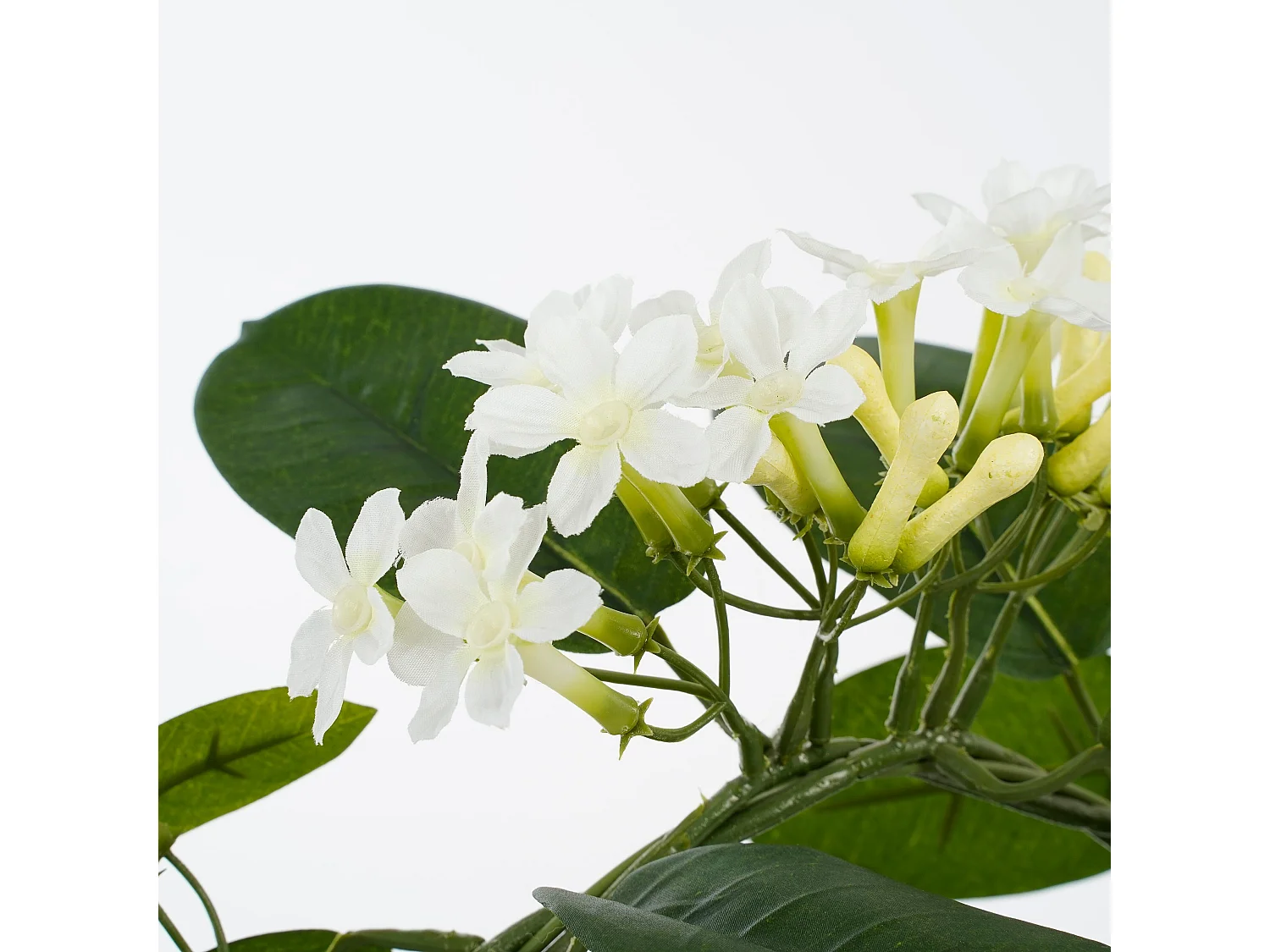 Plante artificielle en polyester et terre cuite - 50 x Ø40 - Blanc - STEPHANOTIS