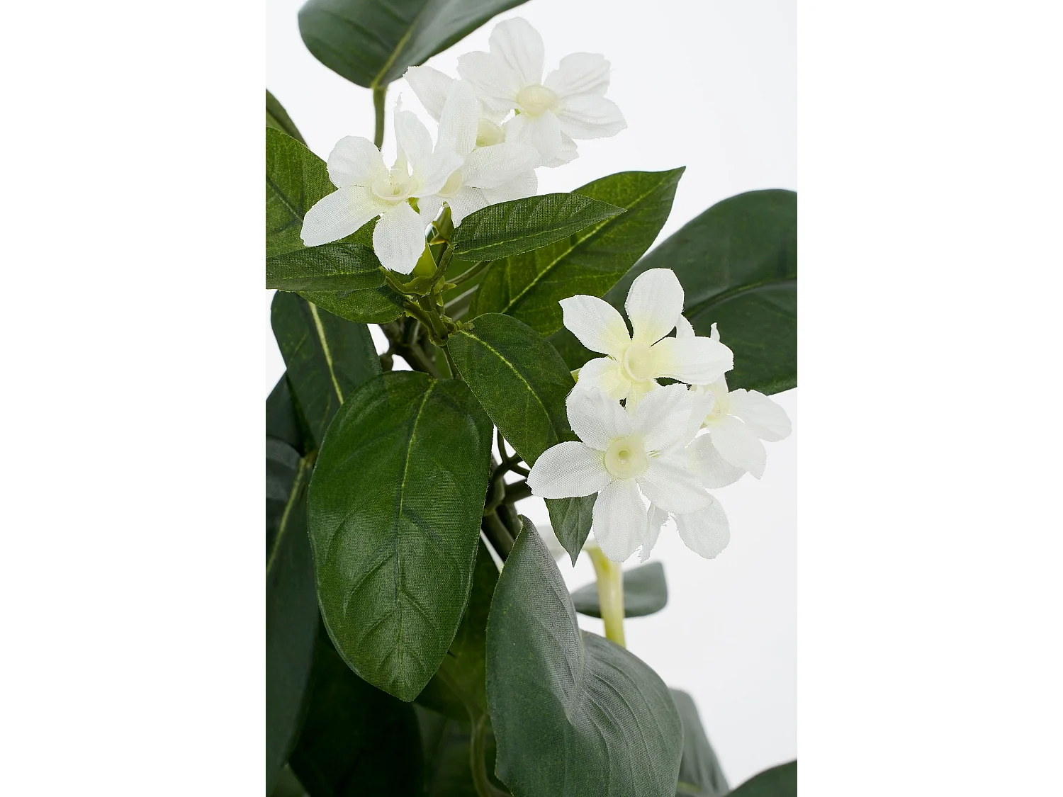 Plante artificielle en polyester et terre cuite - 50 x Ø40 - Blanc - STEPHANOTIS