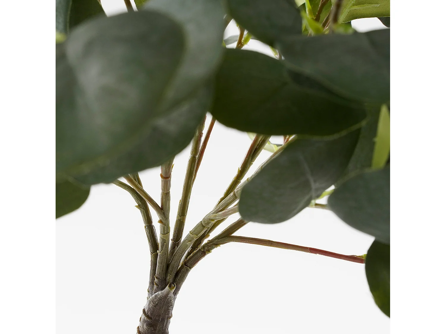 Planta artificial de Poliéster - 75 x Ø15 - Verde - EUCALYPTUS