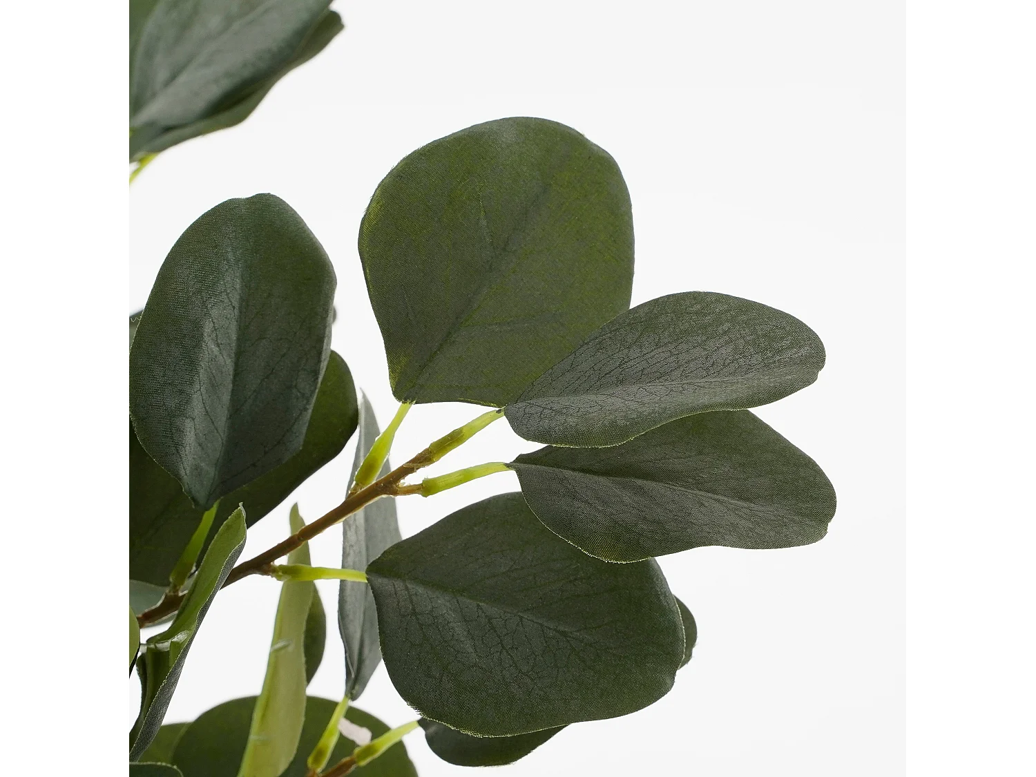 Planta artificial de Poliéster - 75 x Ø15 - Verde - EUCALYPTUS