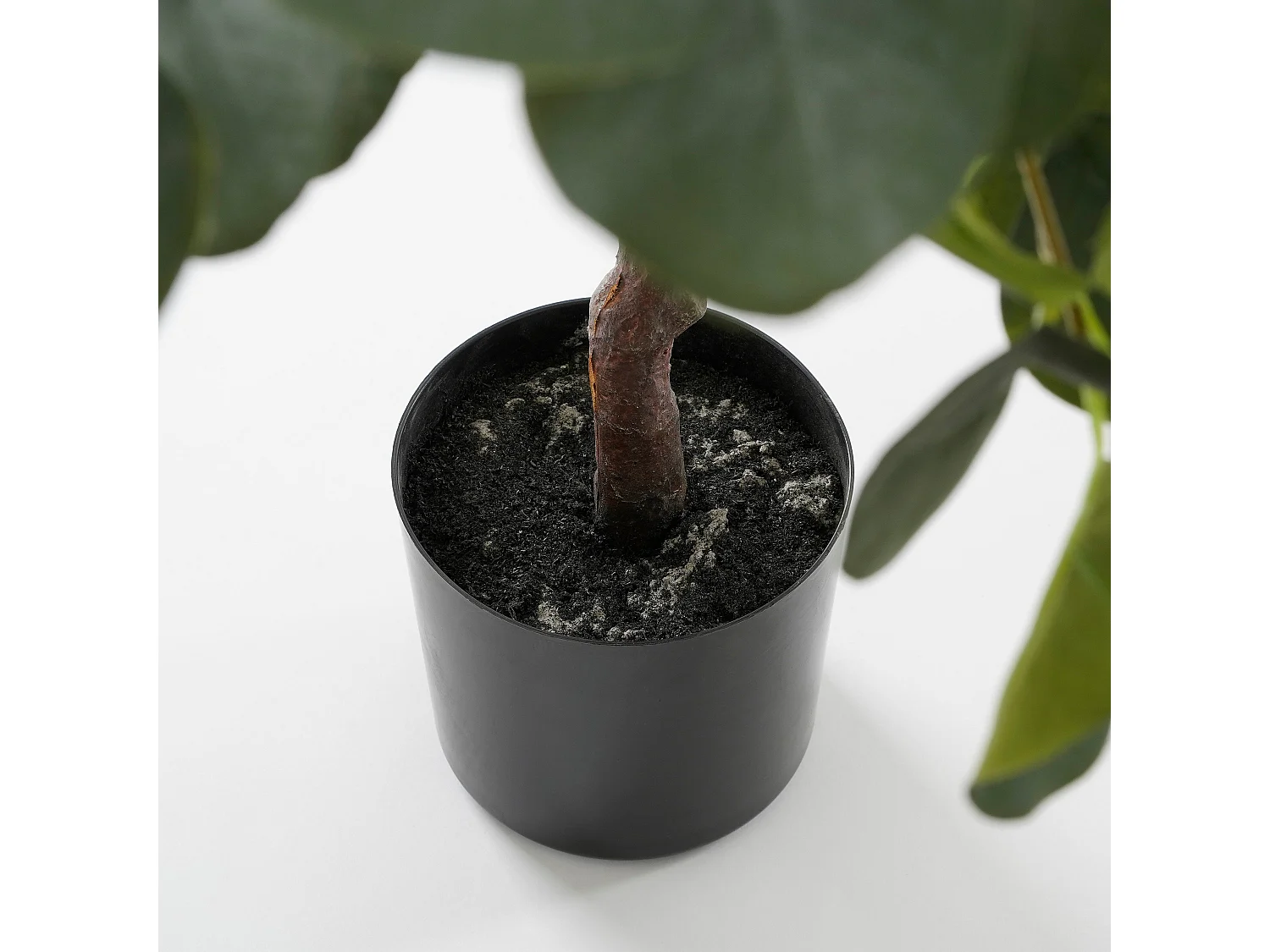 Planta artificial de Poliéster - 75 x Ø15 - Verde - EUCALYPTUS