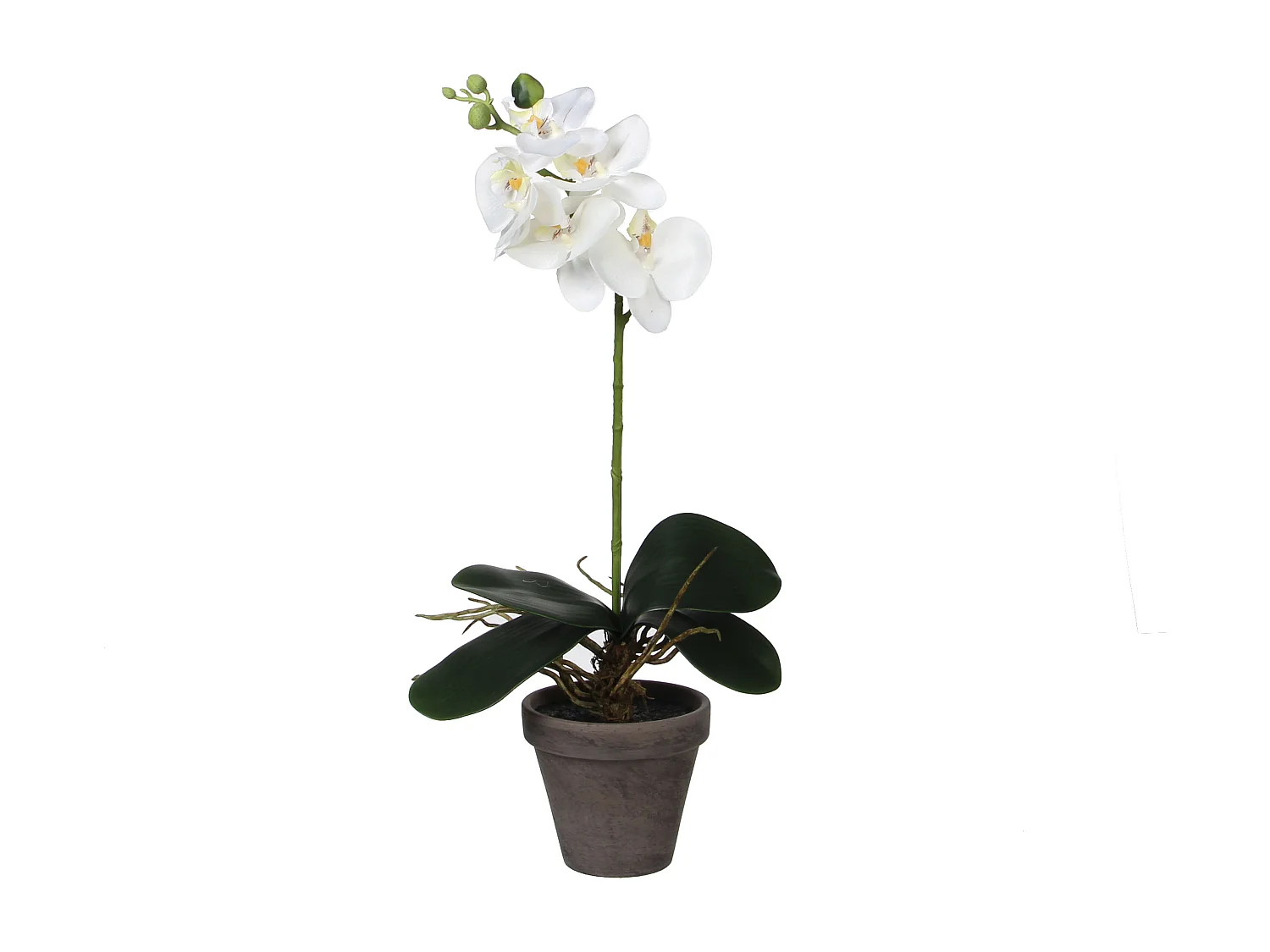 Plante artificielle en polyester et terre cuite - 48 x Ø13 - Blanc - PHALAENOPSIS
