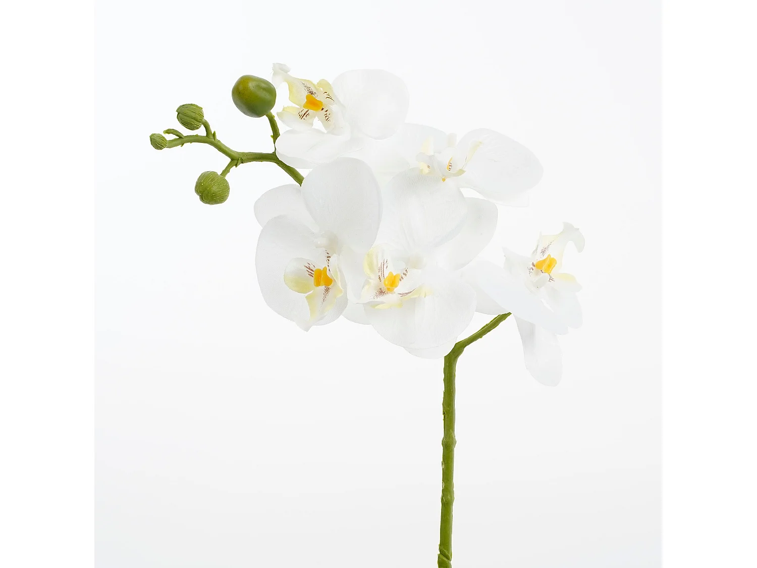 Plante artificielle en polyester et terre cuite - 48 x Ø13 - Blanc - PHALAENOPSIS