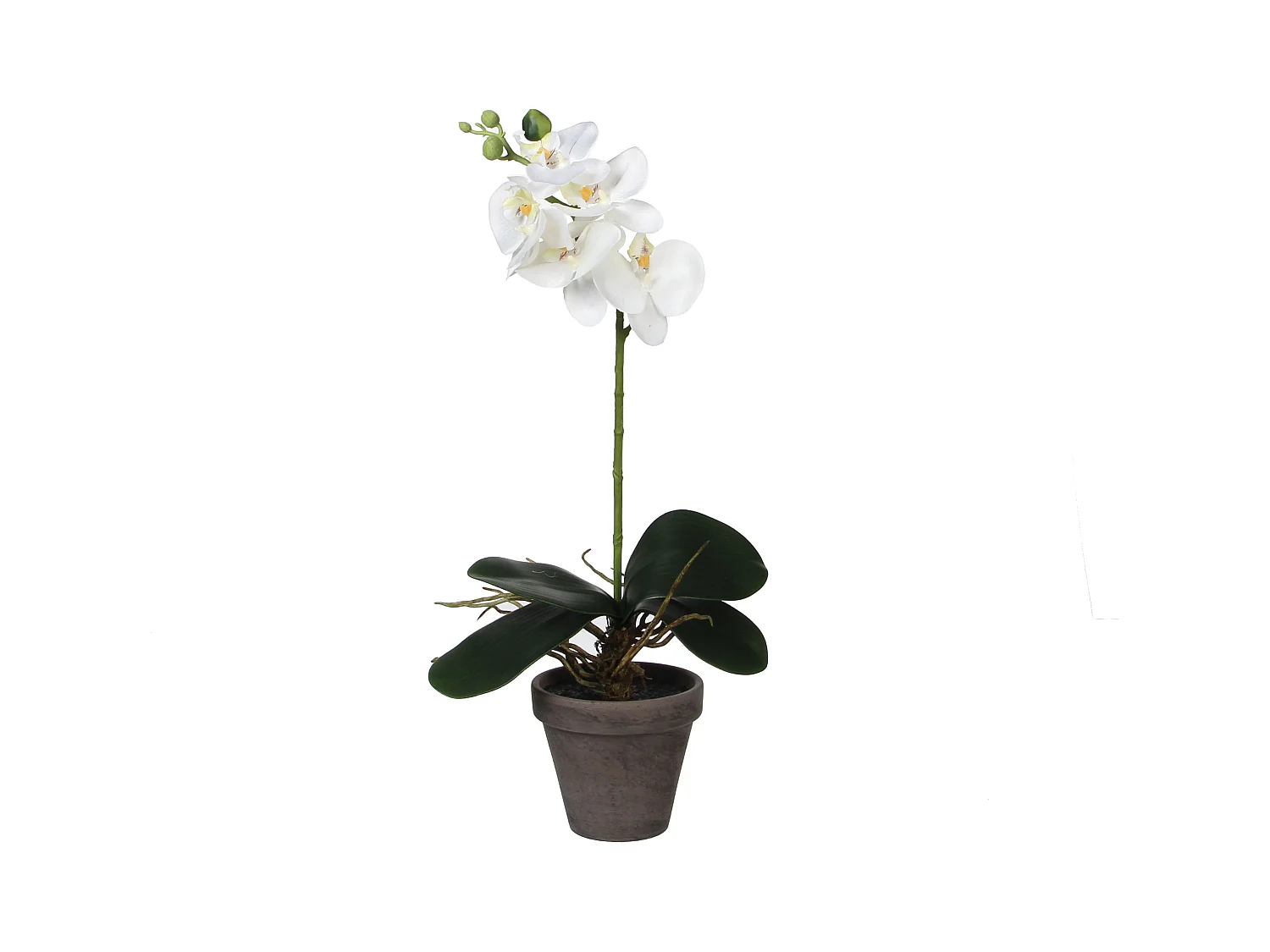 Plante artificielle en polyester et terre cuite - 48 x Ø13 - Blanc - PHALAENOPSIS