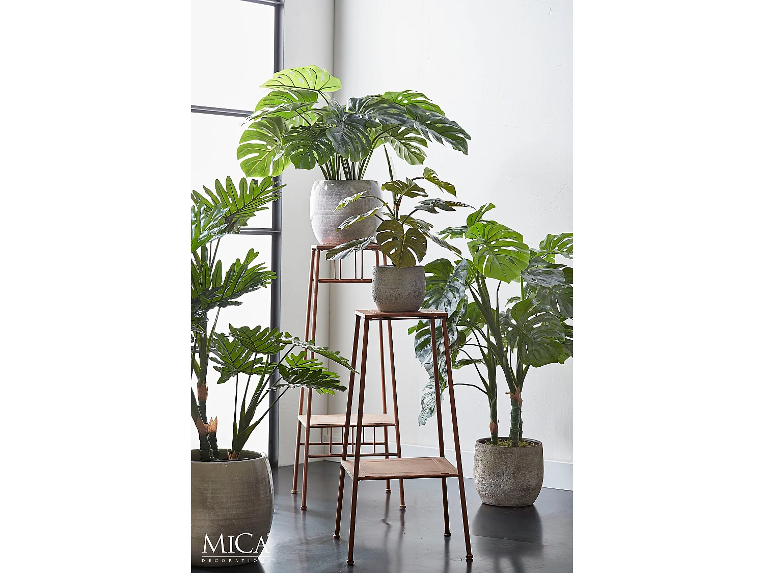 plantas monstera Monstera Plant Set