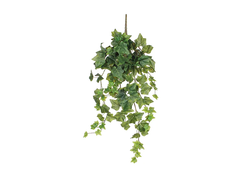 Plante artificielle suspendue en polyester - 20 x 15 x 71 - Vert - IVY