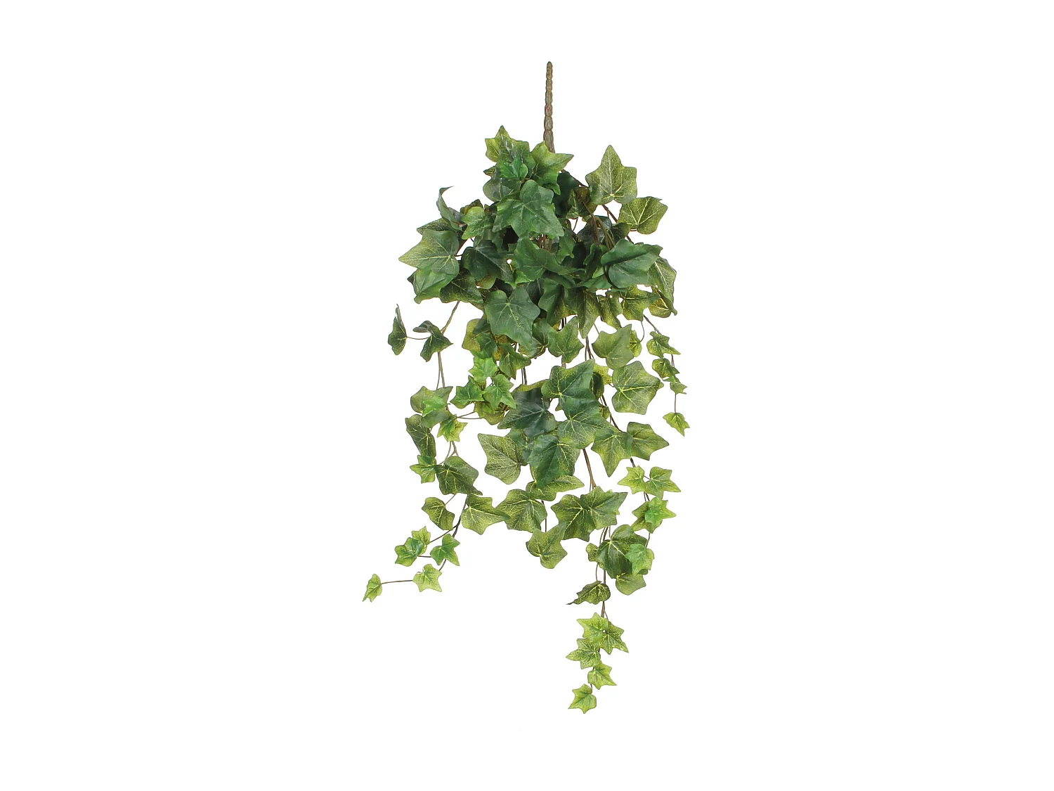 Plante artificielle suspendue en polyester - 20 x 15 x 71 - Vert - IVY