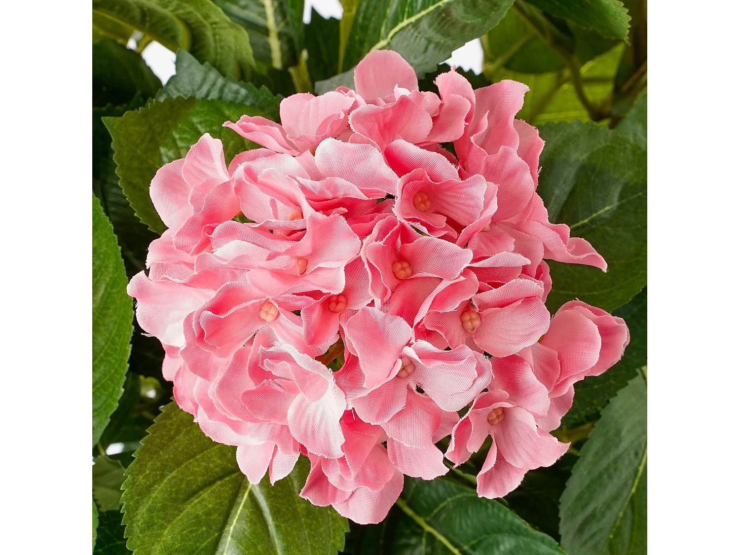 Plante artificielle en polyester et terre cuite - 45 x Ø45 - Rose - HYDRANGEA