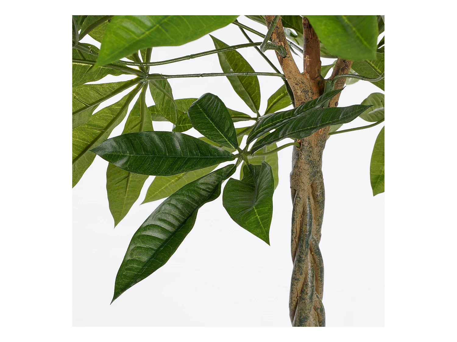 Plante artificielle en polyester et fibre de verre et bois naturel et métal et peinture et ciment et plastique - Ø80 x 60 - Vert - PACHIRA