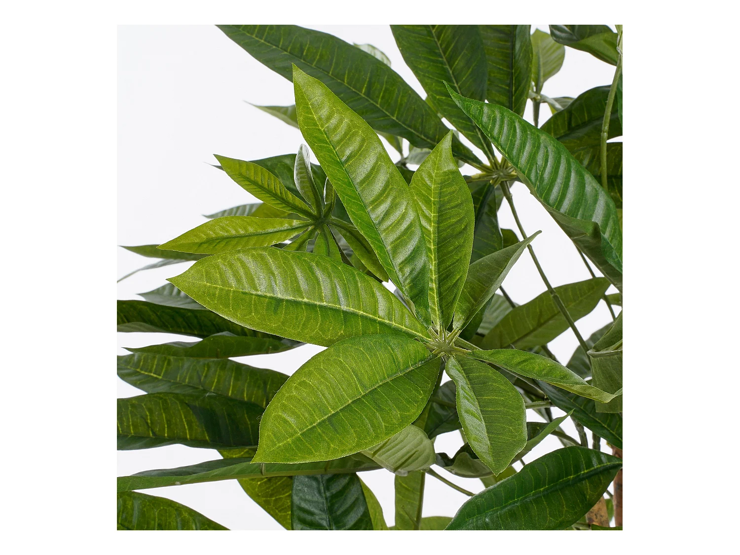 Plante artificielle en polyester et fibre de verre et bois naturel et métal et peinture et ciment et plastique - Ø80 x 60 - Vert - PACHIRA