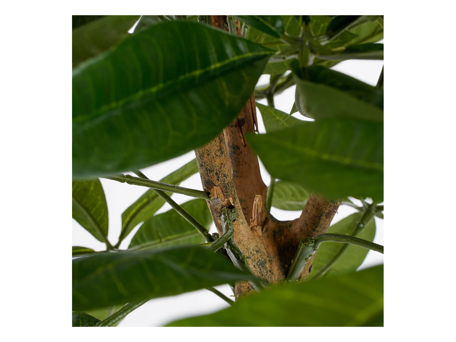 Plante artificielle en polyester et fibre de verre et bois naturel et métal et peinture et ciment et plastique - Ø80 x 60 - Vert - PACHIRA