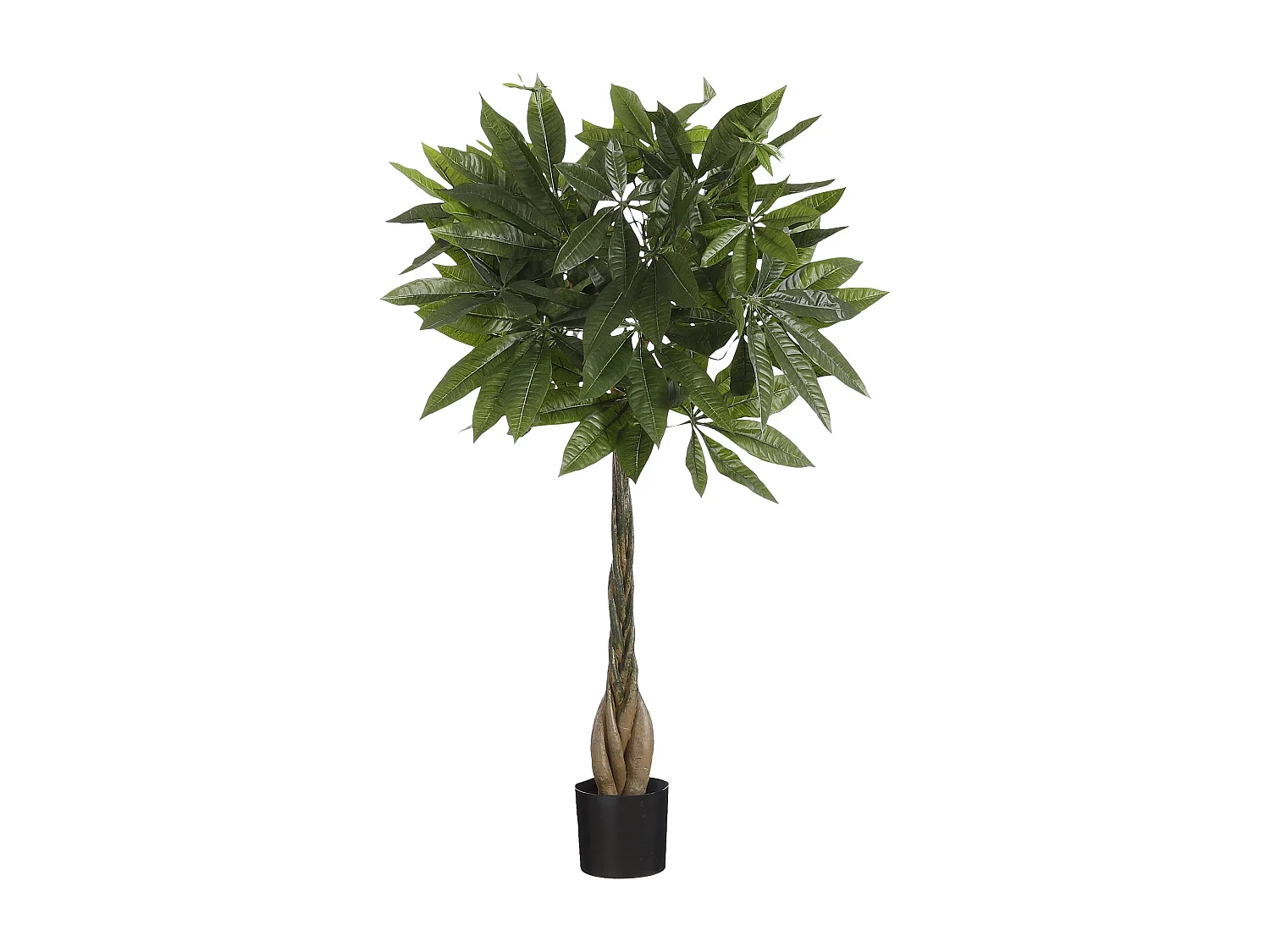 Kunstplant van polyester en glasvezel en natuurlijk multiplex hout en ijzer en verf en cement en plastic - Ø80 x 60 - Groen - PACHIRA