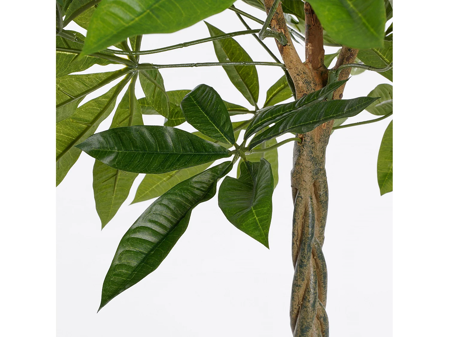 Kunstplant van polyester en glasvezel en natuurlijk multiplex hout en ijzer en verf en cement en plastic - Ø80 x 60 - Groen - PACHIRA