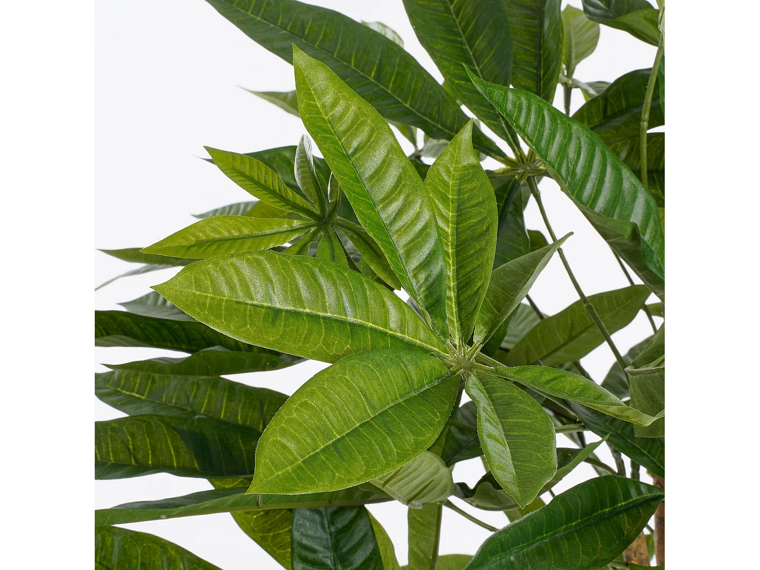 Kunstplant van polyester en glasvezel en natuurlijk multiplex hout en ijzer en verf en cement en plastic - Ø80 x 60 - Groen - PACHIRA