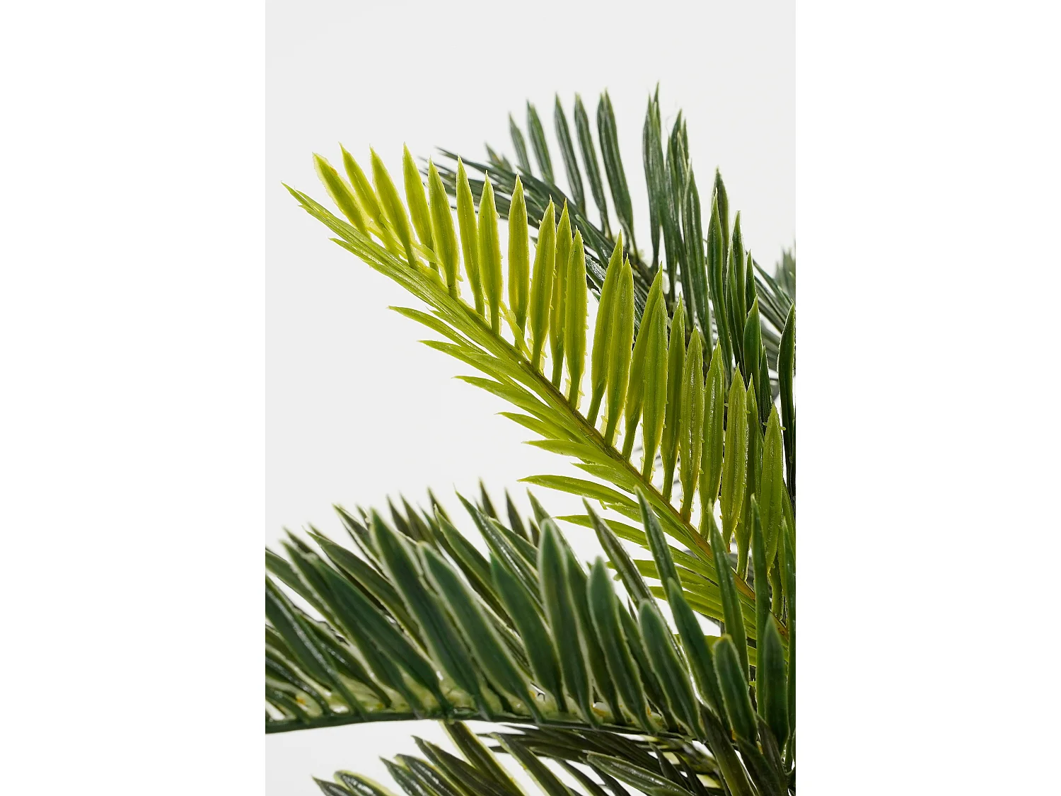 Plante artificielle en pvc et terre cuite - 33 x Ø34 - Vert - CYCAS PALM