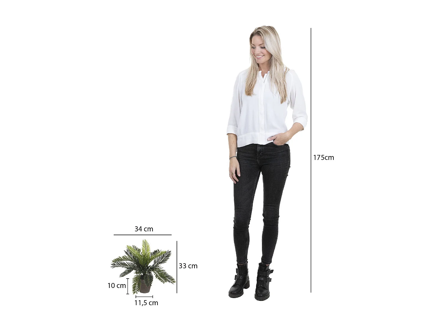 Plante artificielle en pvc et terre cuite - 33 x Ø34 - Vert - CYCAS PALM