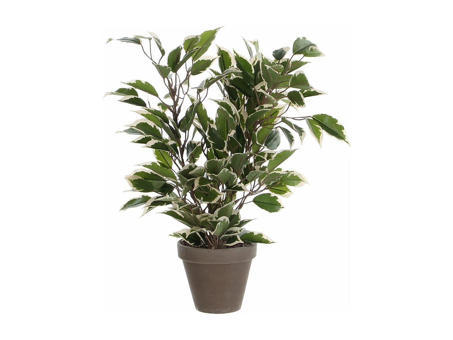 Plante artificielle en polyester et terre cuite - Ø30 x 40 - Vert - FICUS NATASJA