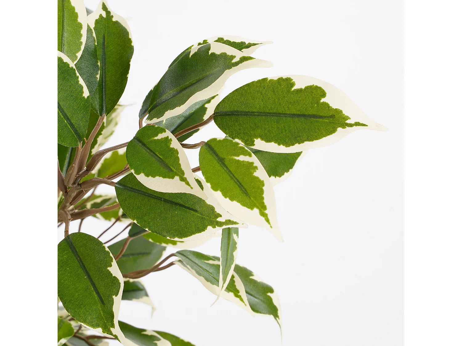 Plante artificielle en polyester et terre cuite - Ø30 x 40 - Vert - FICUS NATASJA