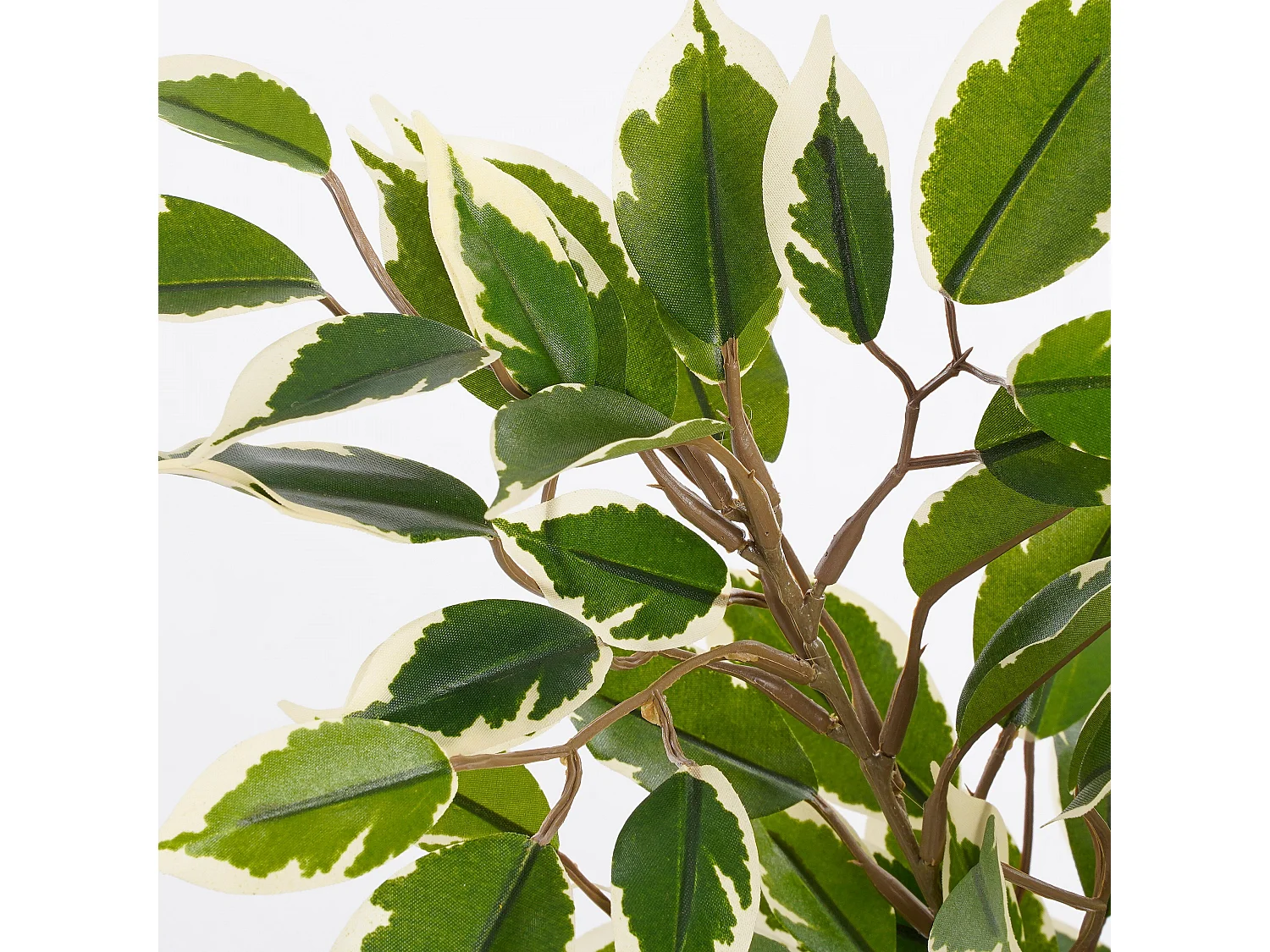 Plante artificielle en polyester et terre cuite - Ø30 x 40 - Vert - FICUS NATASJA