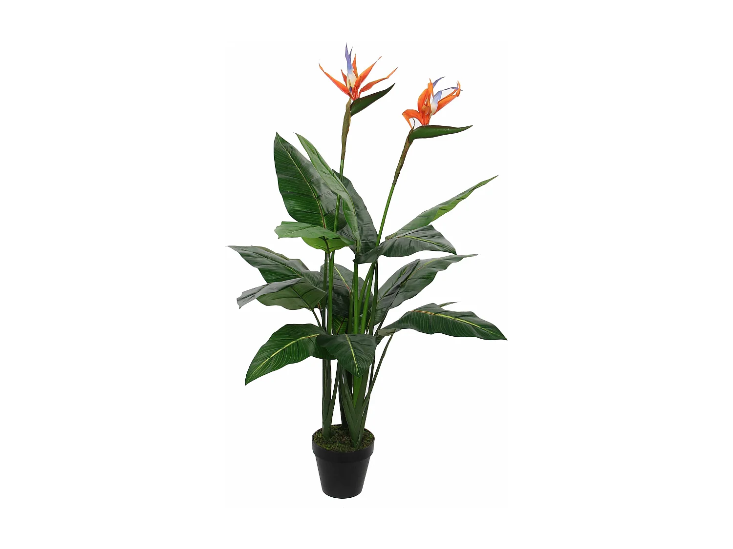 Kunstplant van polyester en plastic - 110 x Ø60 - Groen - STRELITZIA