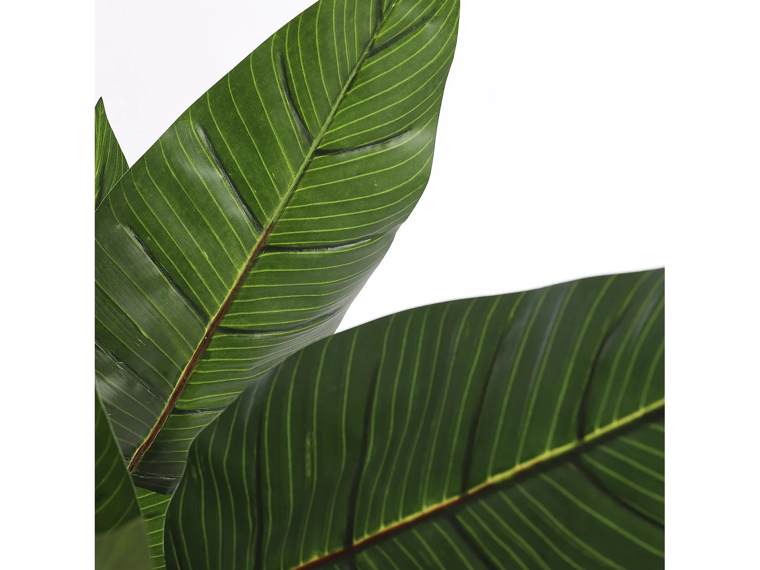 Kunstplant van polyester en plastic - 110 x Ø60 - Groen - STRELITZIA