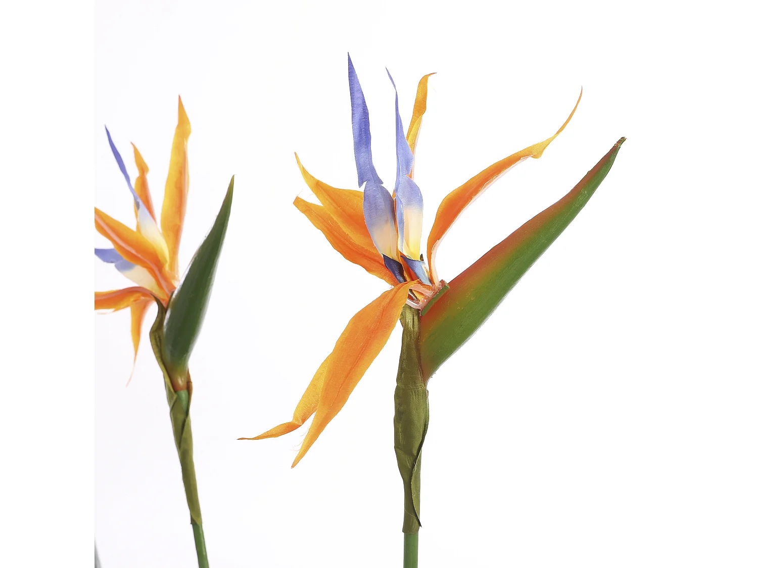 Kunstplant van polyester en plastic - 110 x Ø60 - Groen - STRELITZIA