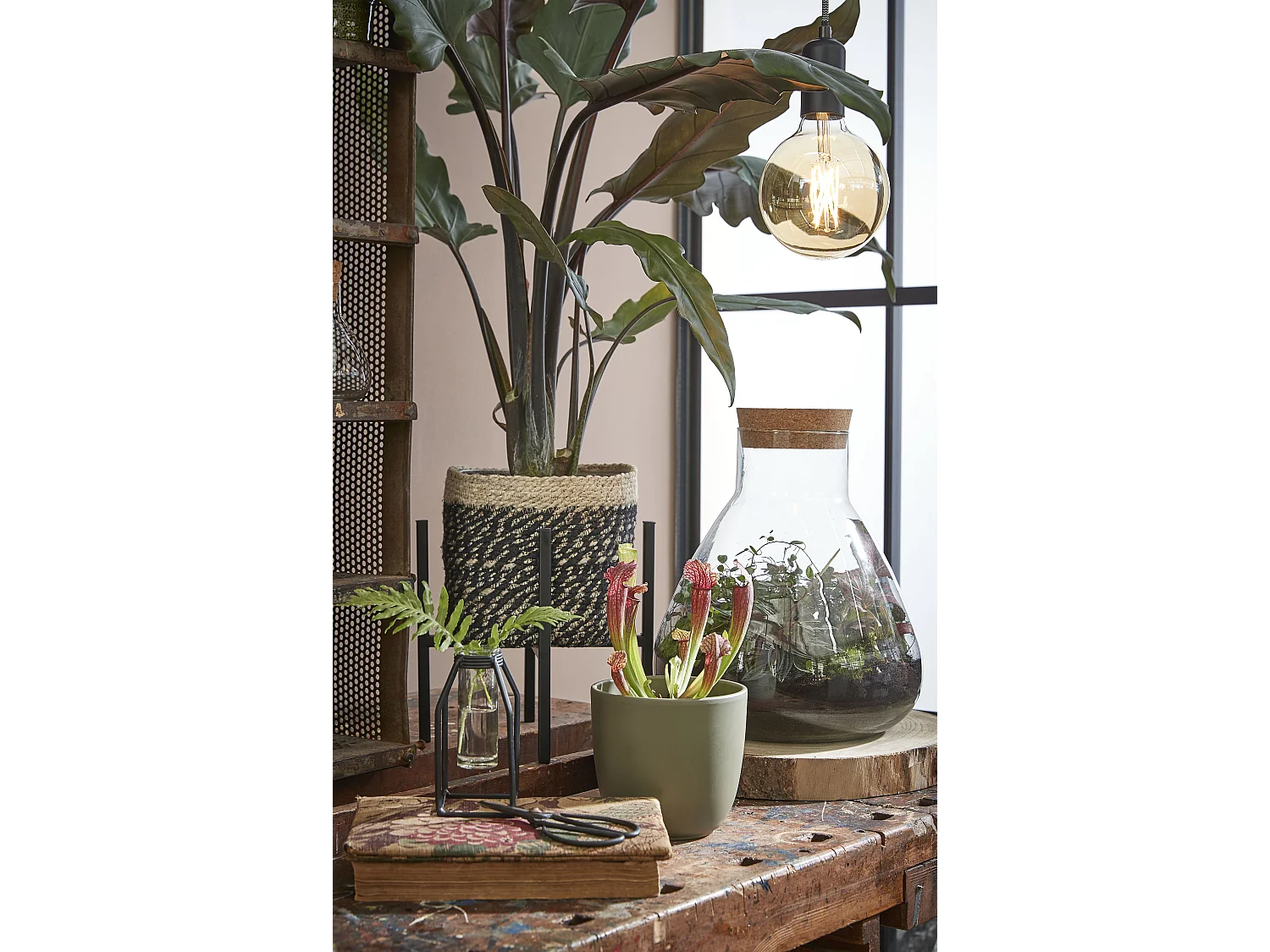 Tarro de almacenamiento de Vidrio reciclado y corcho - Ø29,5 x 32 - Transparente - EMILY