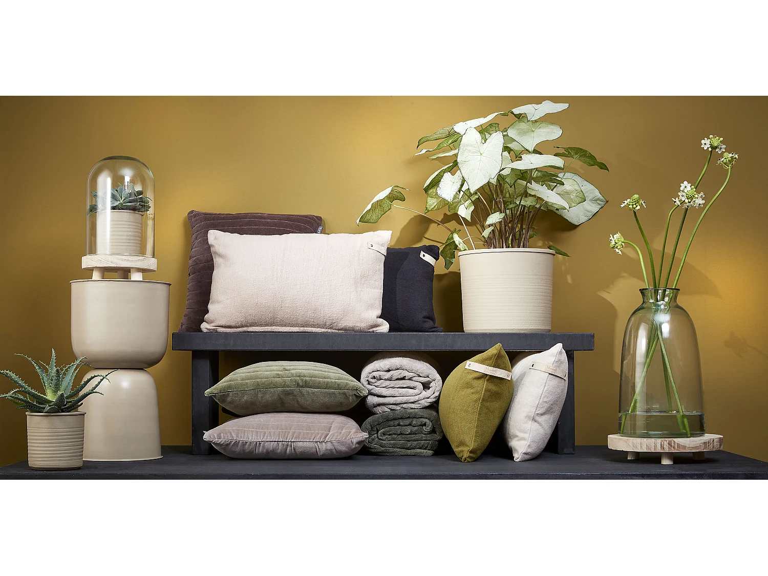 Bottiglia decorativa in  - Ø22 x 44 - Trasparente - FLORINE