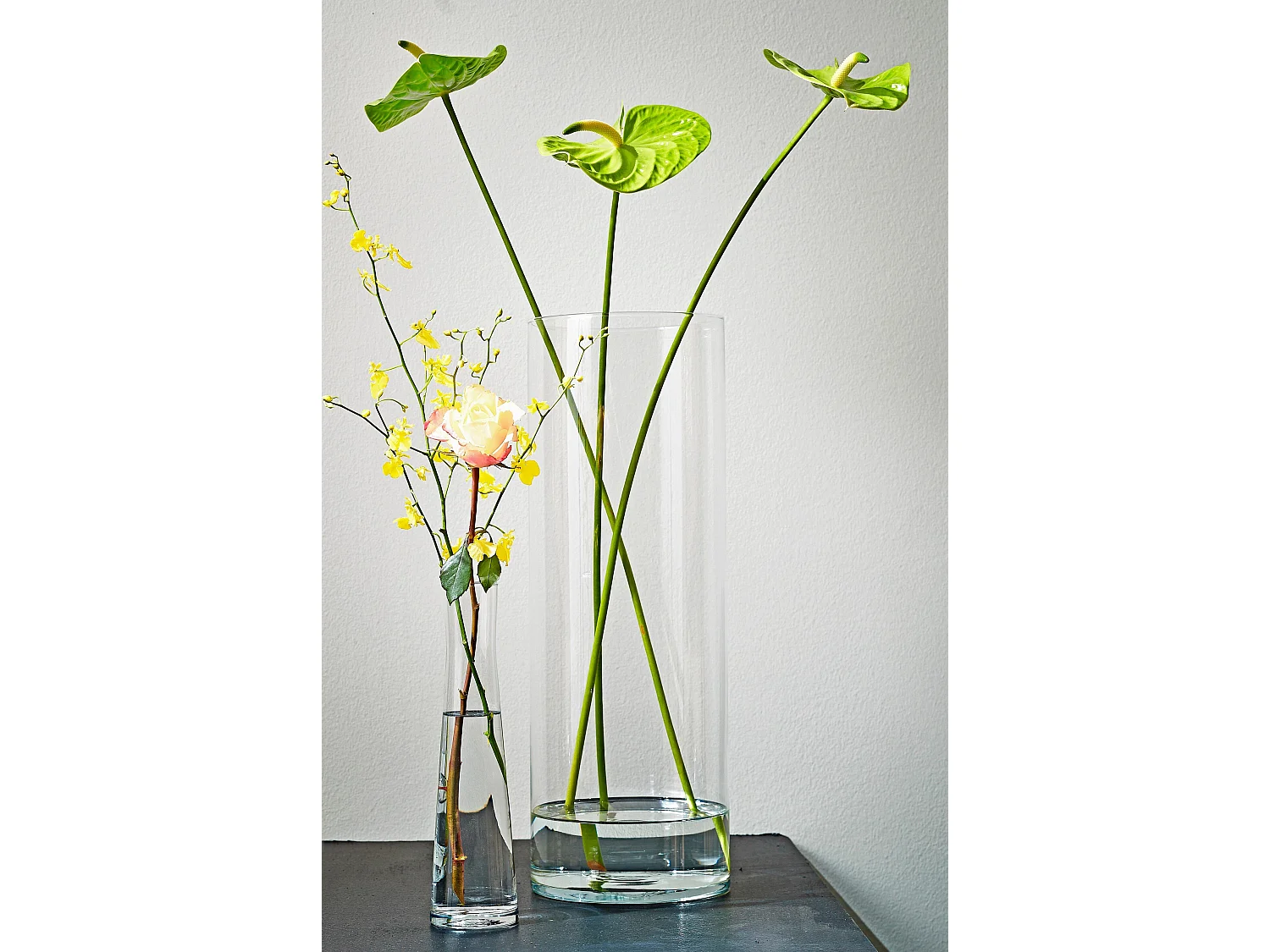 Vase en verre - 48 x Ø19 - Transparent - CARLY