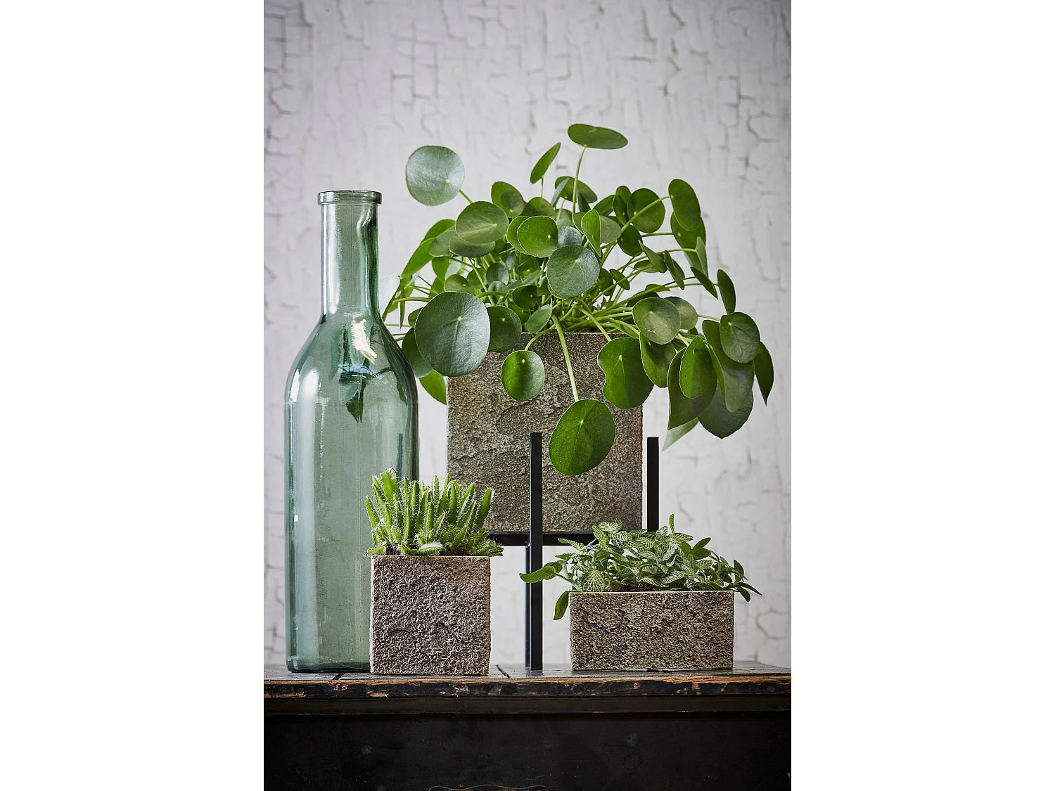 Botella decorativa de Vidrio reciclado - Ø15 x 50 - Verde - RIOJA