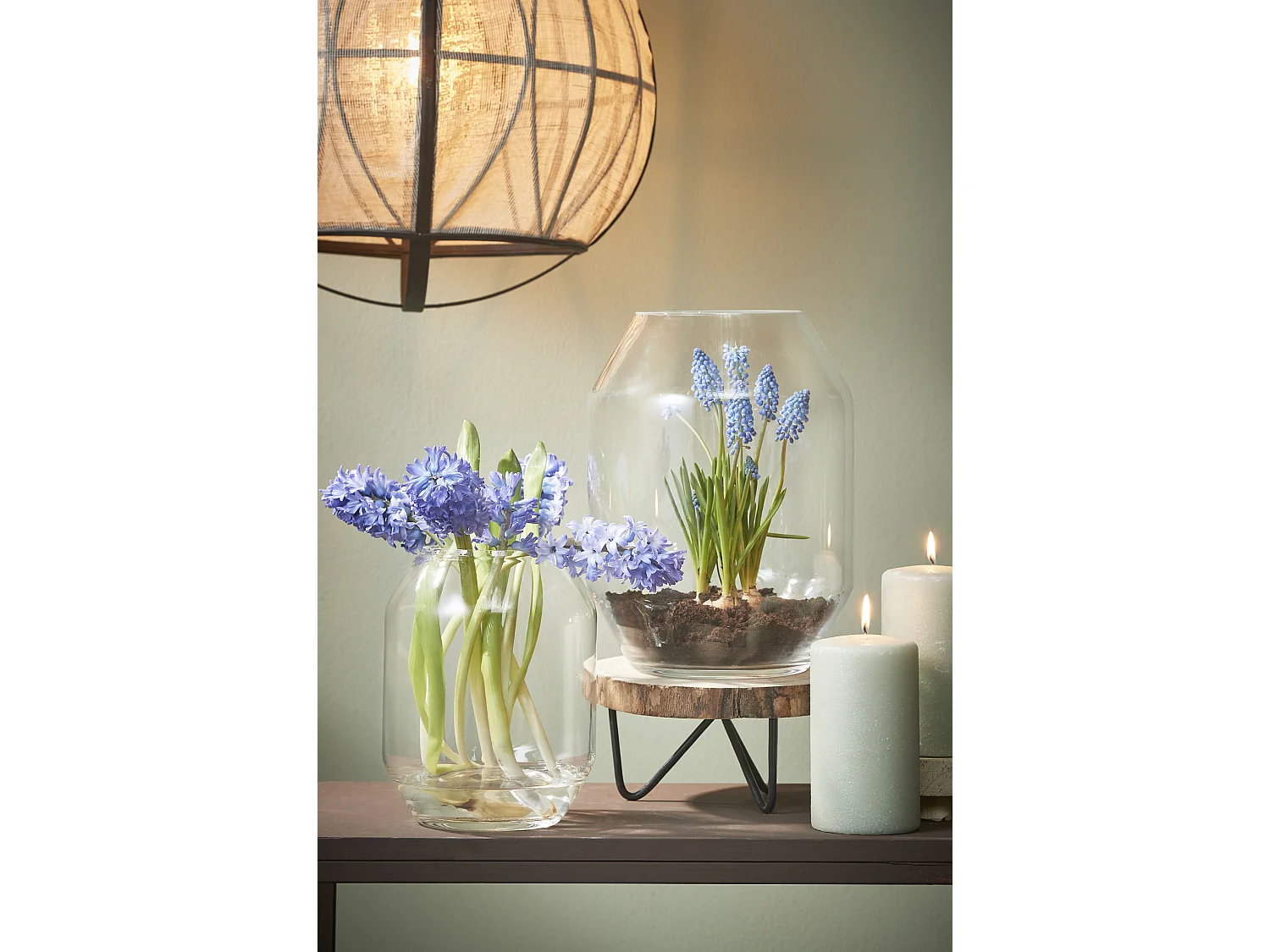 Vaso in  - Ø25 x 33 - Trasparente - DALI