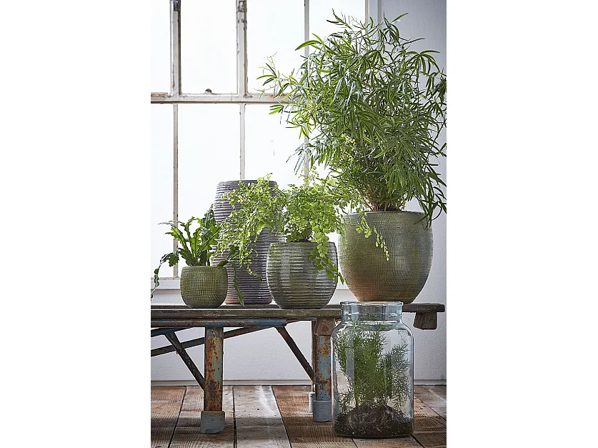 Vaso in  - Ø21 x 35 - Trasparente - VIENNE