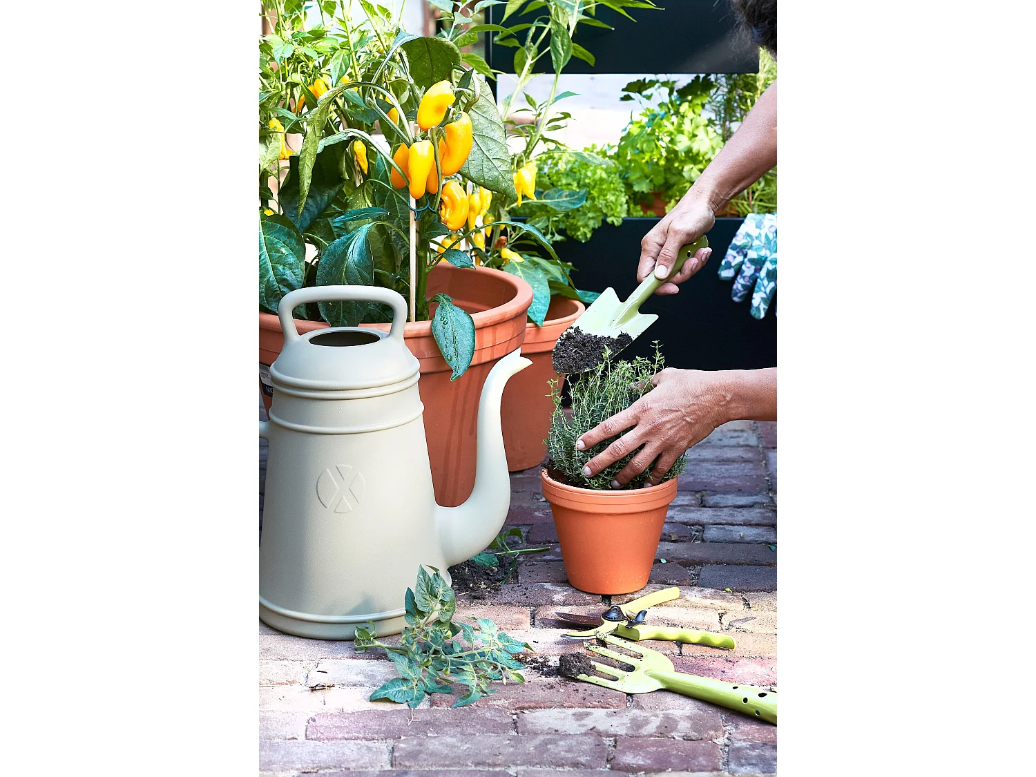 Attrezzi da giardino in  - 3 pieces - Verde -