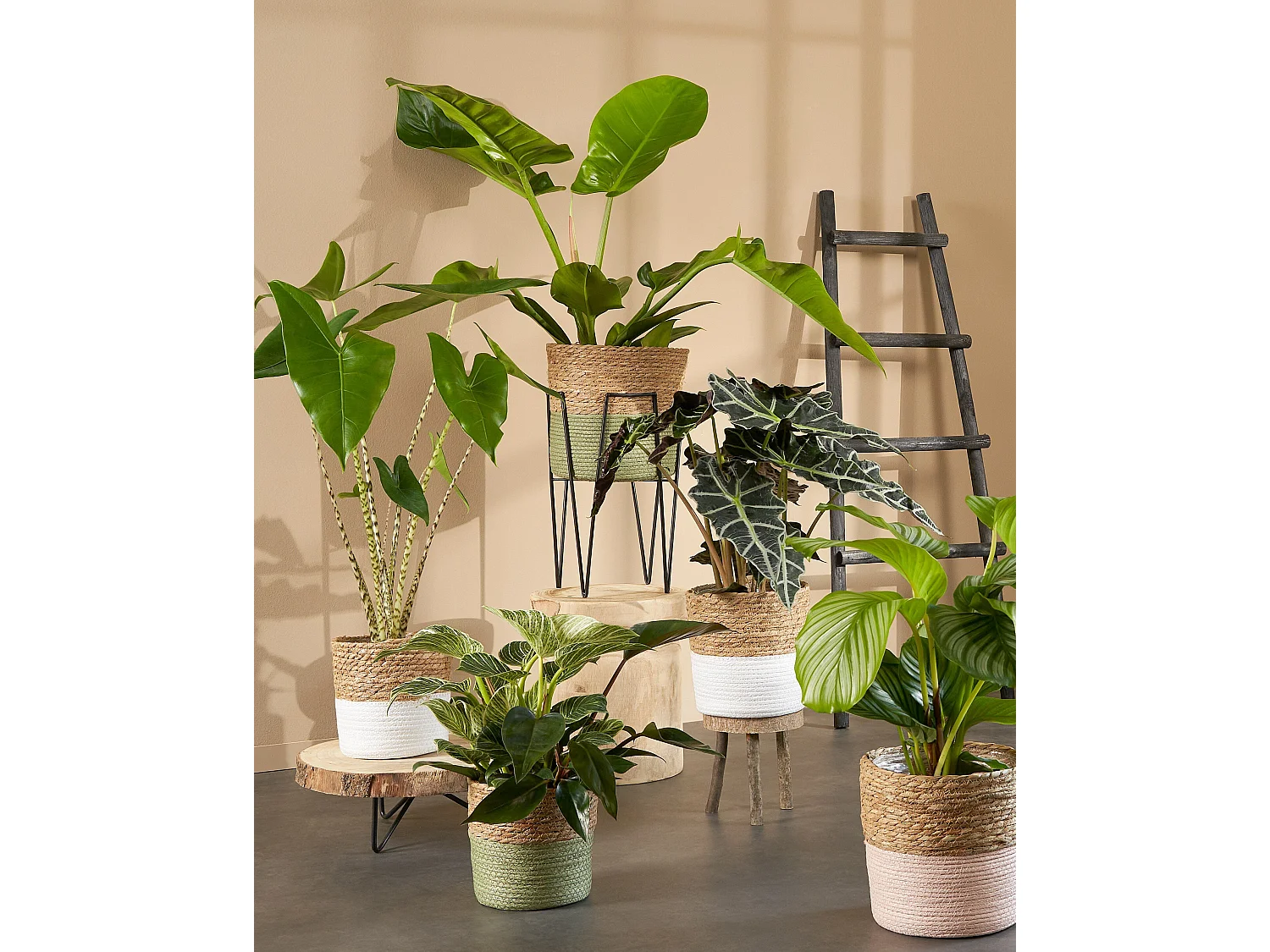 Decoratieve ladder van populier hout - 29 x 49 x 119 - Zwart -