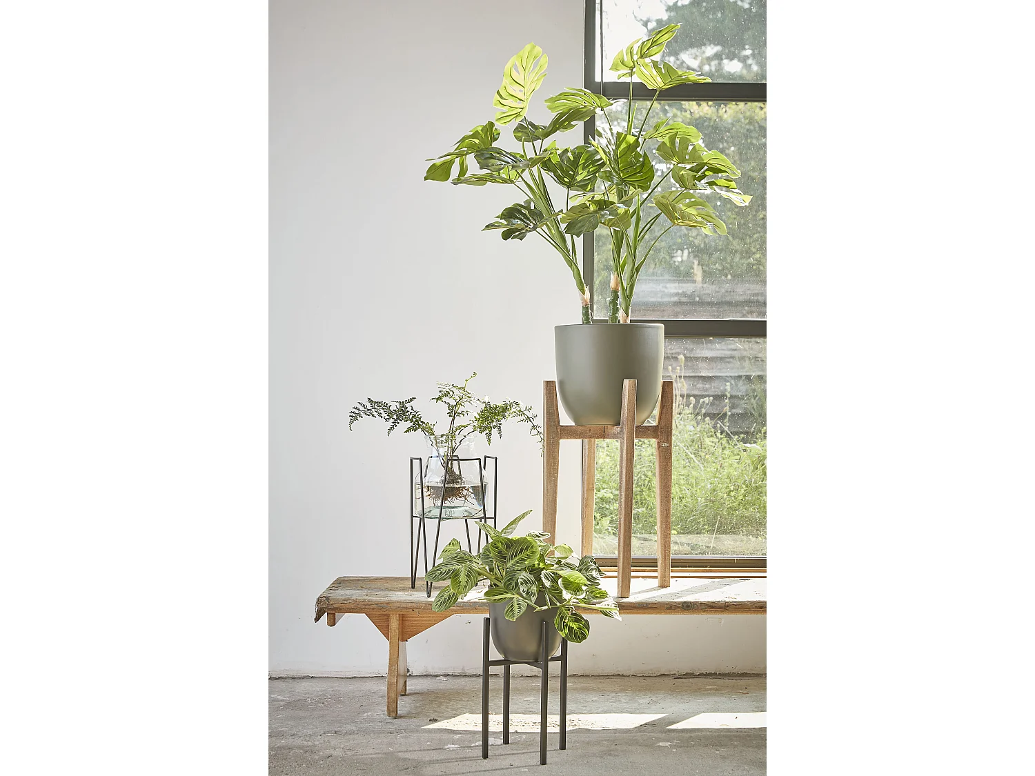 Plantenstandaard van ijzer - 20,5 x 20,5 x 35 - Zwart - ASCOT