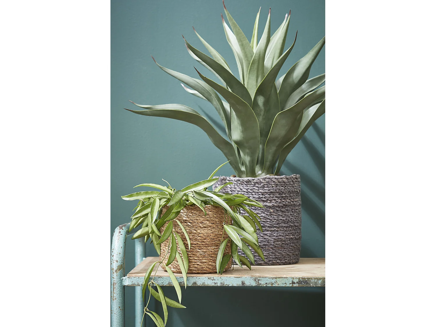 Ensemble de panier a plantes en jonc de mer et plastique - Ø12 x 12 / Ø14 x 14 / Ø16 x 16 - Marron clair - ATLANTIC