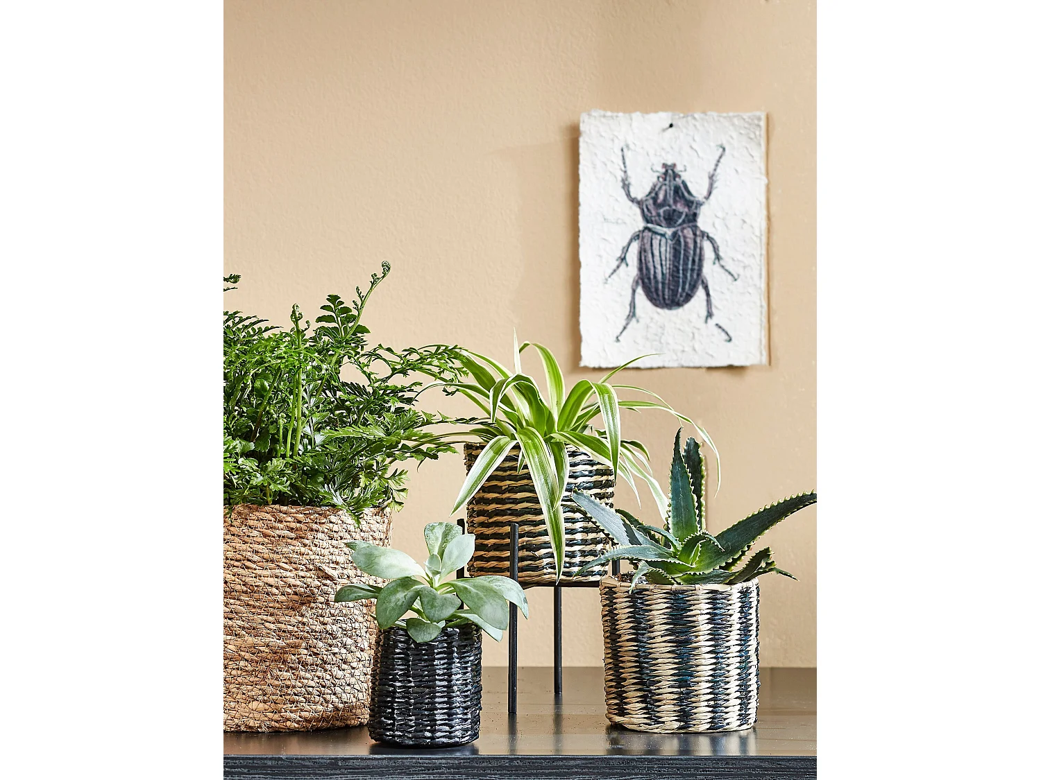 Ensemble de panier a plantes en jonc de mer et plastique - Ø12 x 12 / Ø14 x 14 / Ø16 x 16 - Marron clair - ATLANTIC