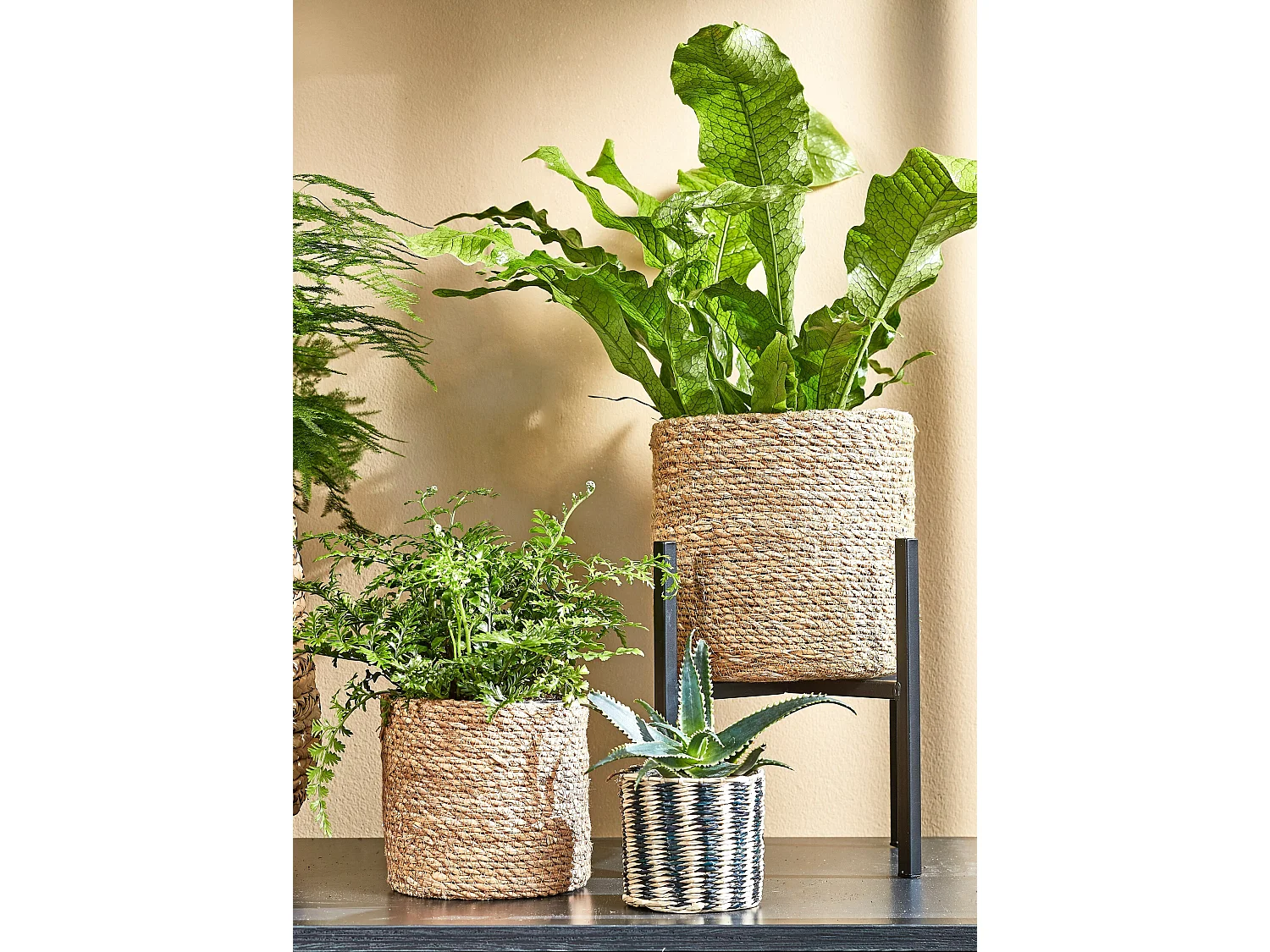 Ensemble de panier a plantes en jonc de mer et plastique - Ø12 x 12 / Ø14 x 14 / Ø16 x 16 - Marron clair - ATLANTIC