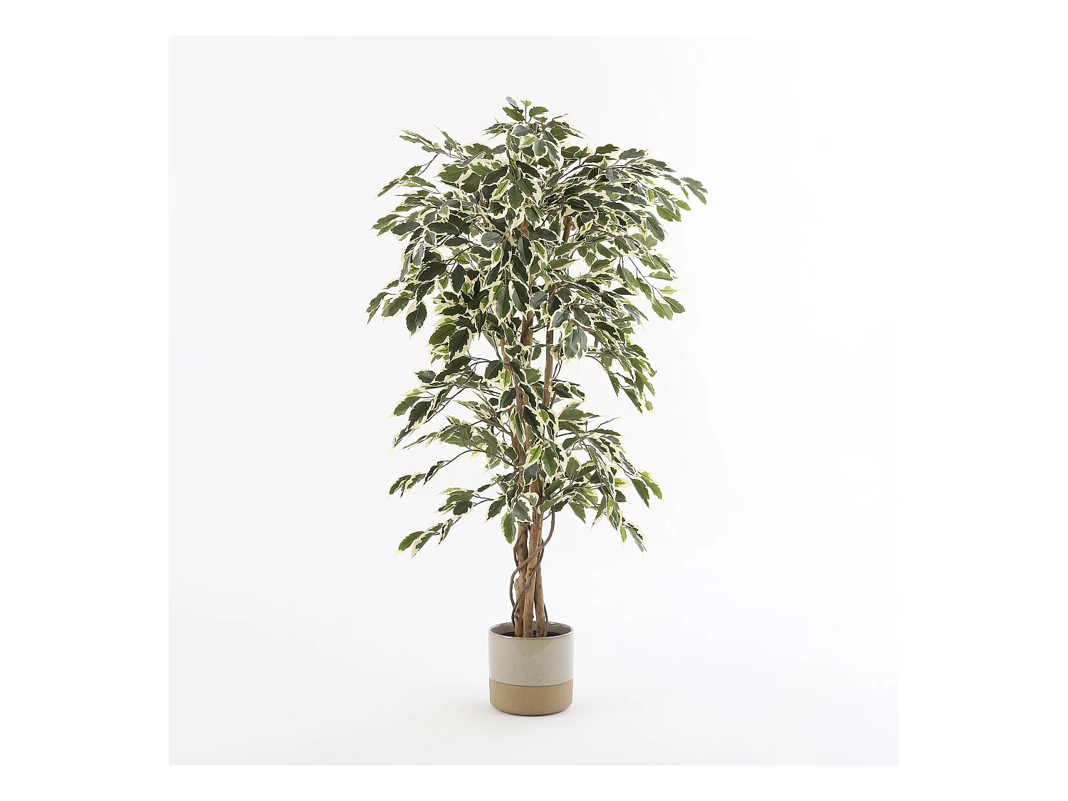 Pot de fleurs d'interieur  en céramique - Ø18 x 16,5 - Crème - LAGO